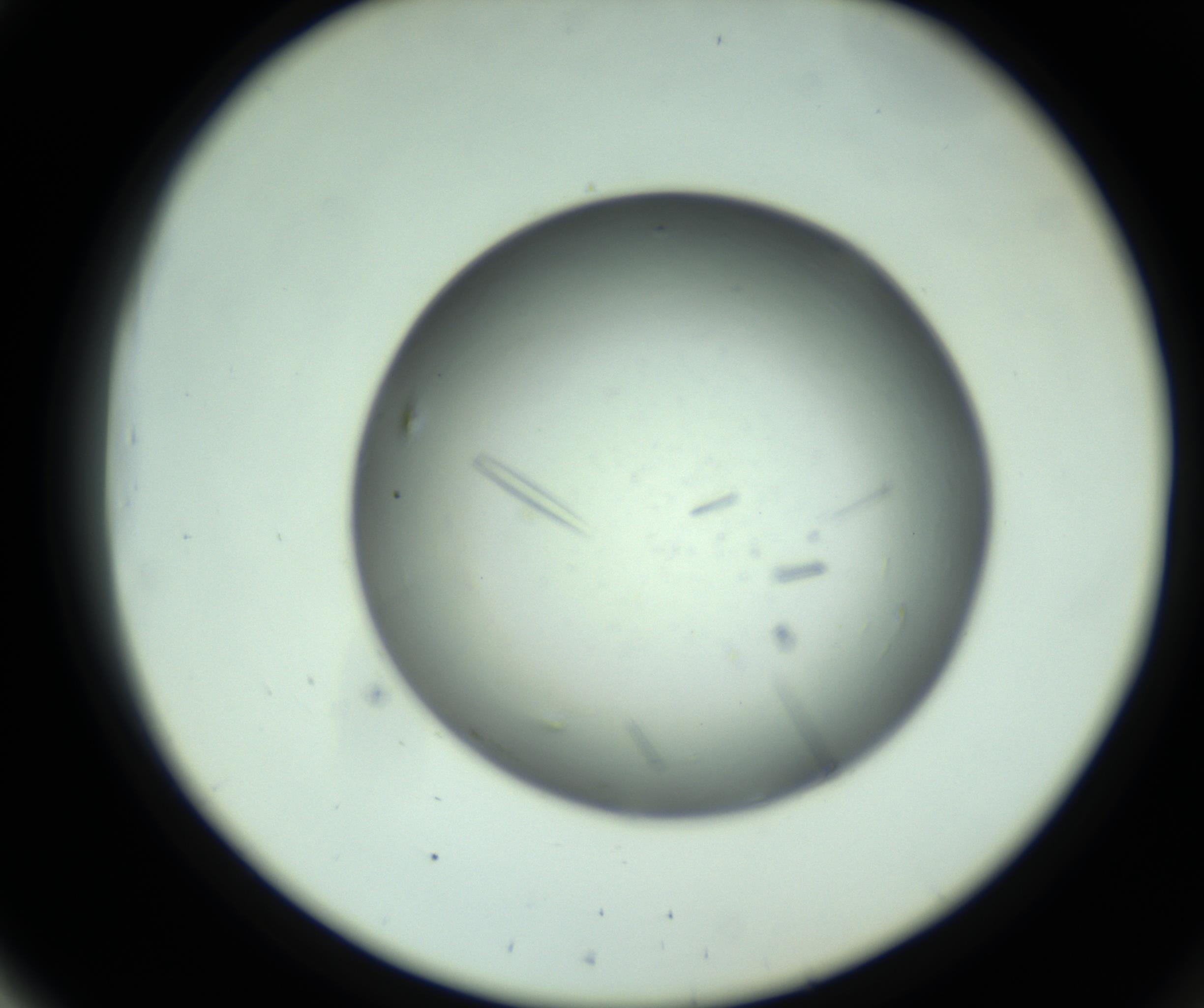 RI01_03_000_0212_Proj1_Clon1_MC_0000MC102643_012_161014_03_05_02_00_98_002_001_RAI.jpg