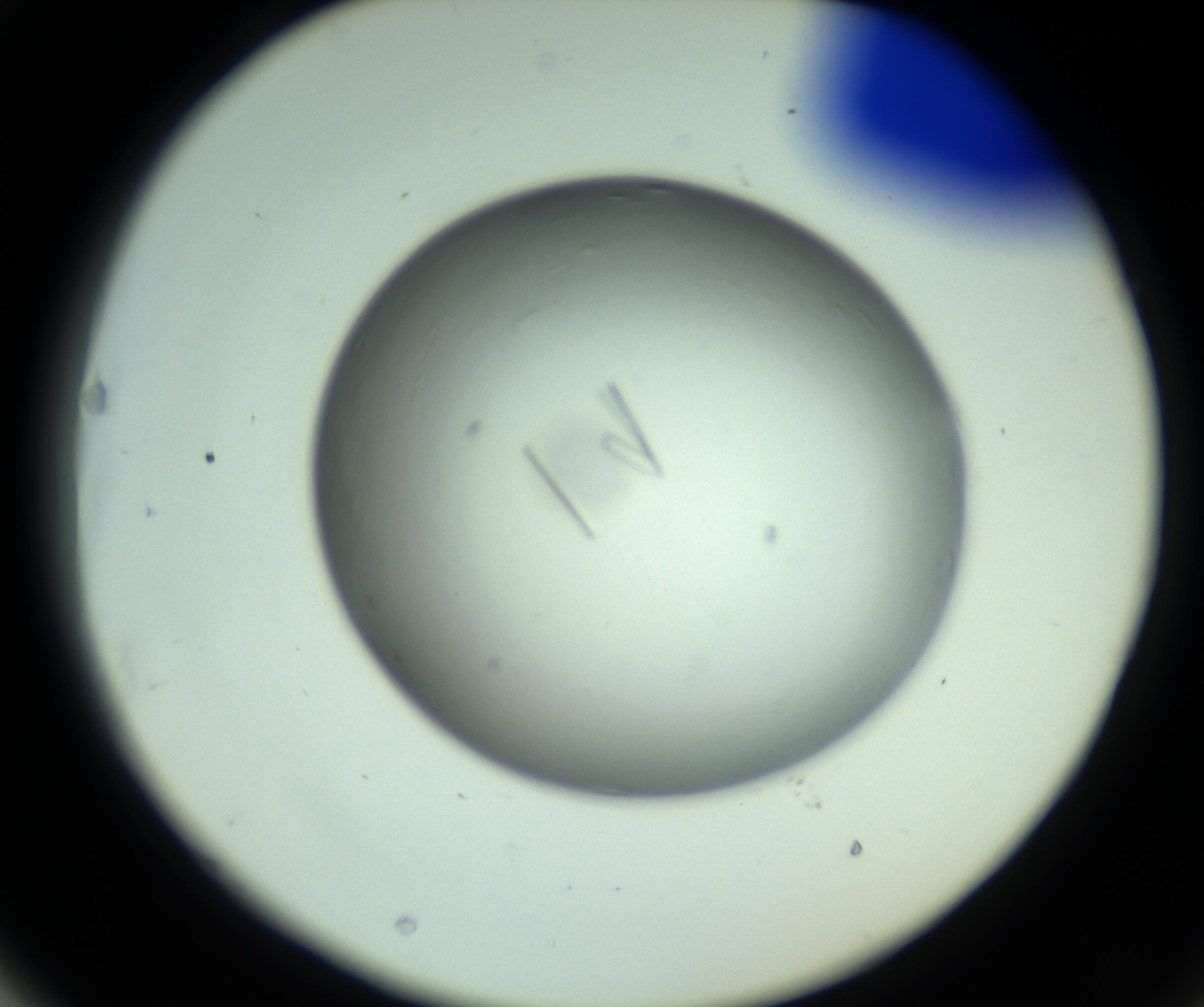 RI01_03_000_0212_Proj1_Clon1_MC_0000MC102643_012_161014_03_06_02_00_98_002_001_RAI.jpg