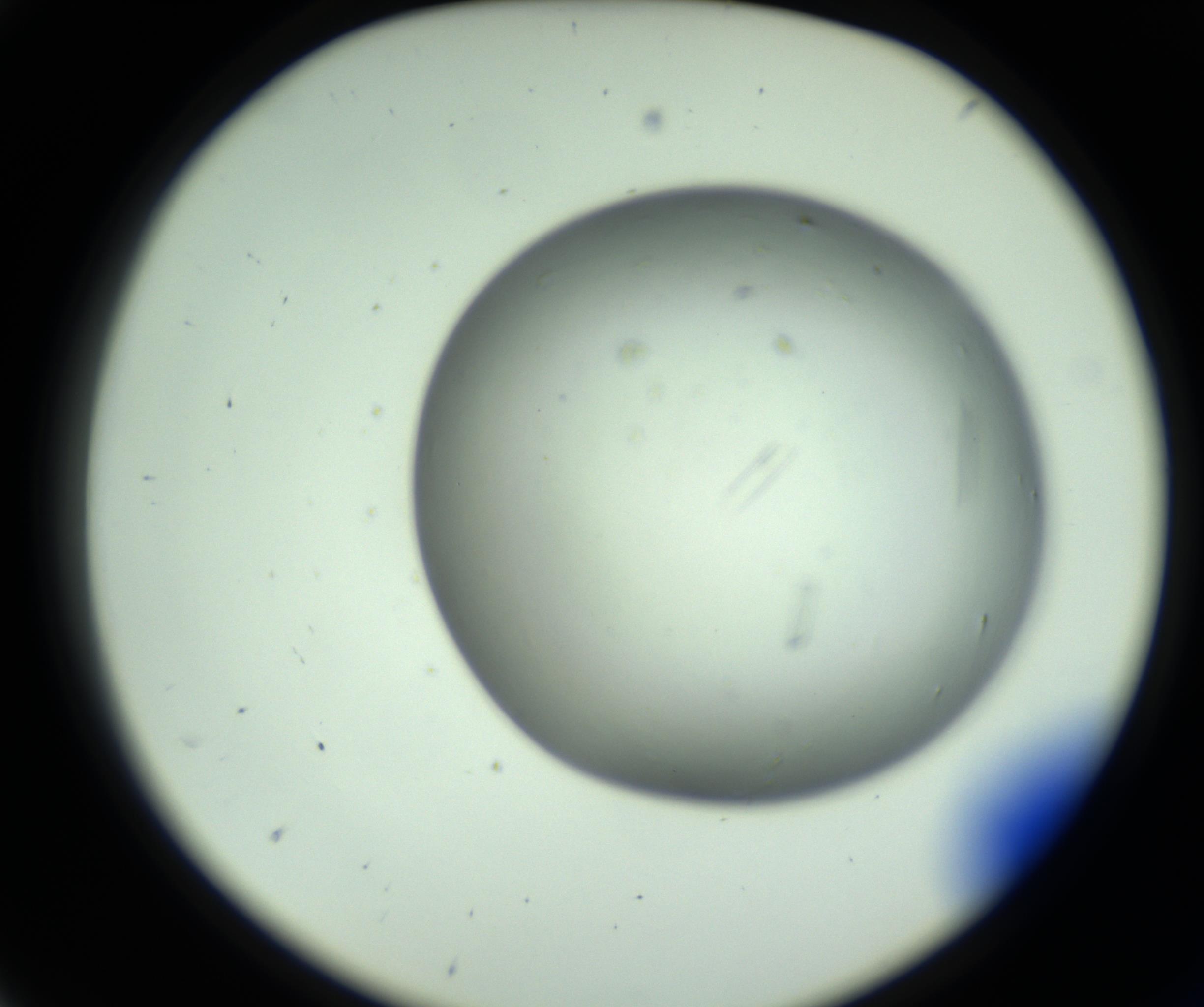 RI01_03_000_0212_Proj1_Clon1_MC_0000MC102643_012_161014_05_01_02_00_98_002_001_RAI.jpg