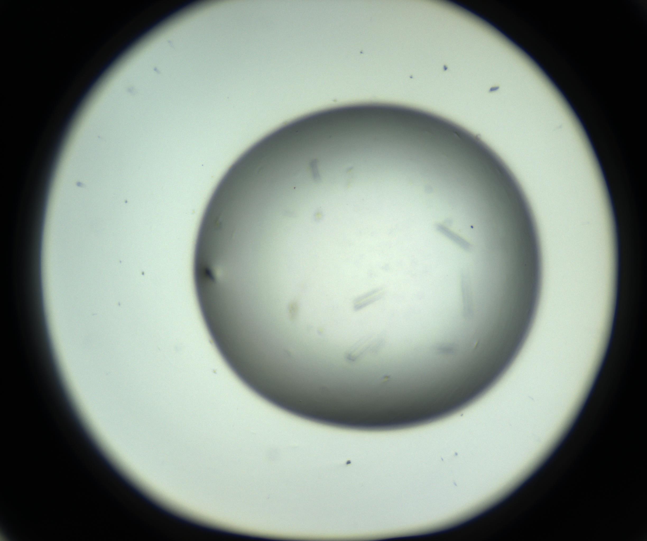 RI01_03_000_0212_Proj1_Clon1_MC_0000MC102643_012_161014_05_02_01_00_98_002_001_RAI.jpg