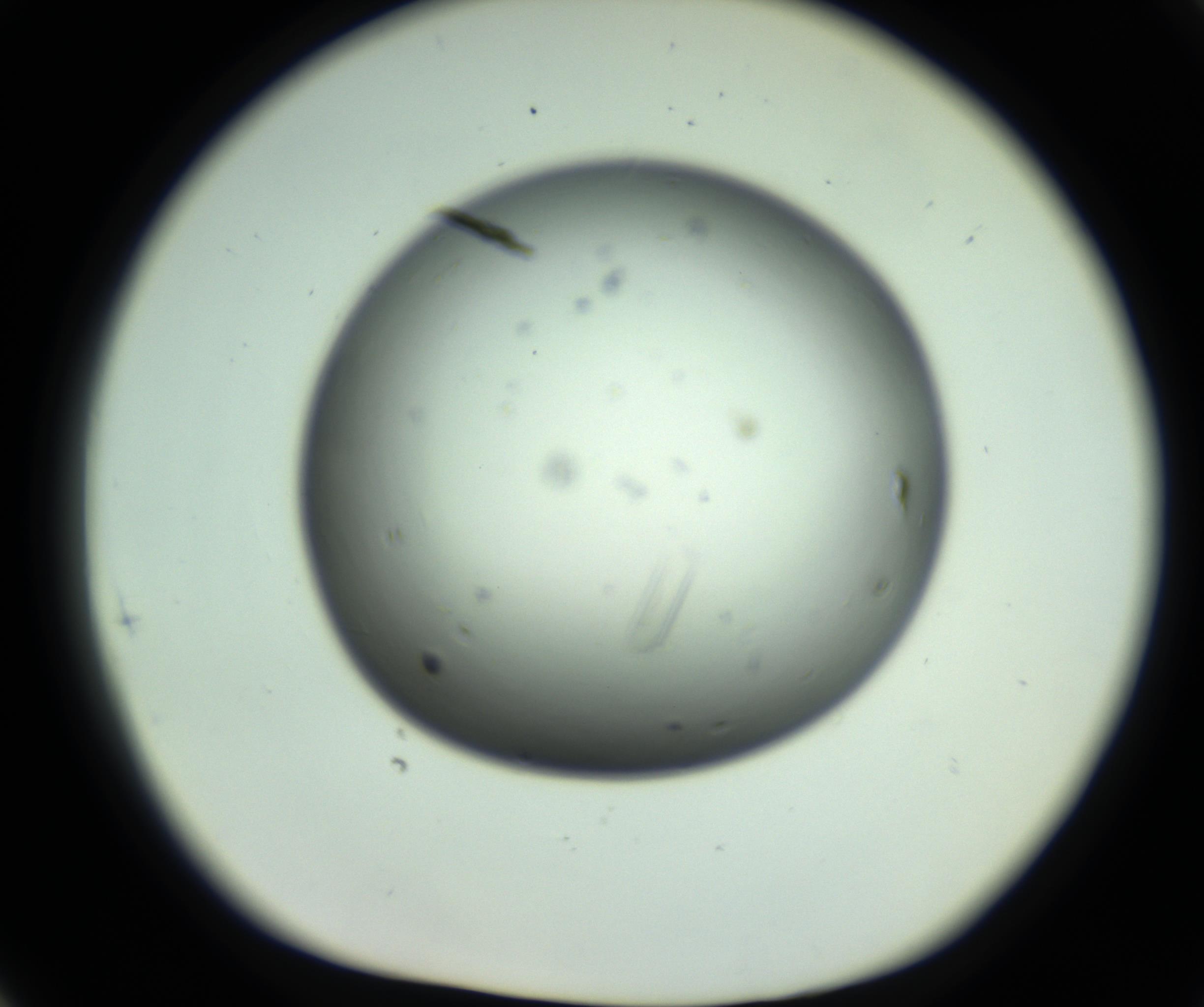 RI01_03_000_0212_Proj1_Clon1_MC_0000MC102643_012_161014_05_08_01_00_98_002_001_RAI.jpg