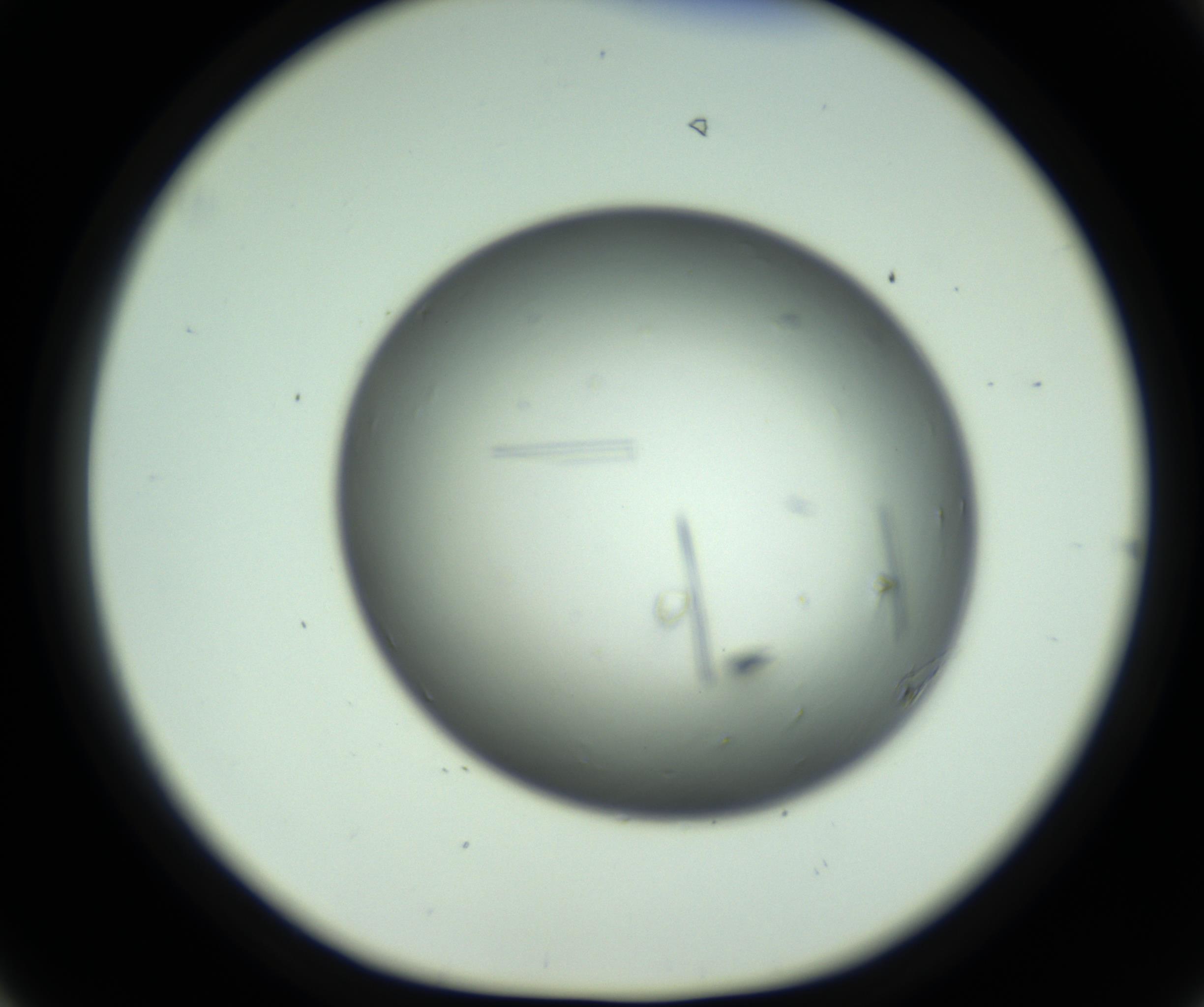 RI01_03_000_0212_Proj1_Clon1_MC_0000MC102643_012_161014_06_04_01_00_98_002_001_RAI.jpg