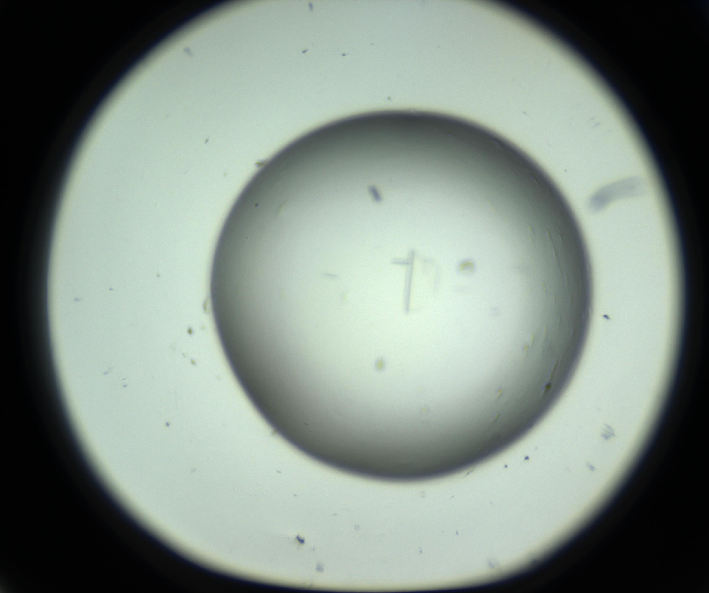 RI01_03_000_0212_Proj1_Clon1_MC_0000MC102643_012_161014_07_01_01_00_98_002_001_RAI.jpg