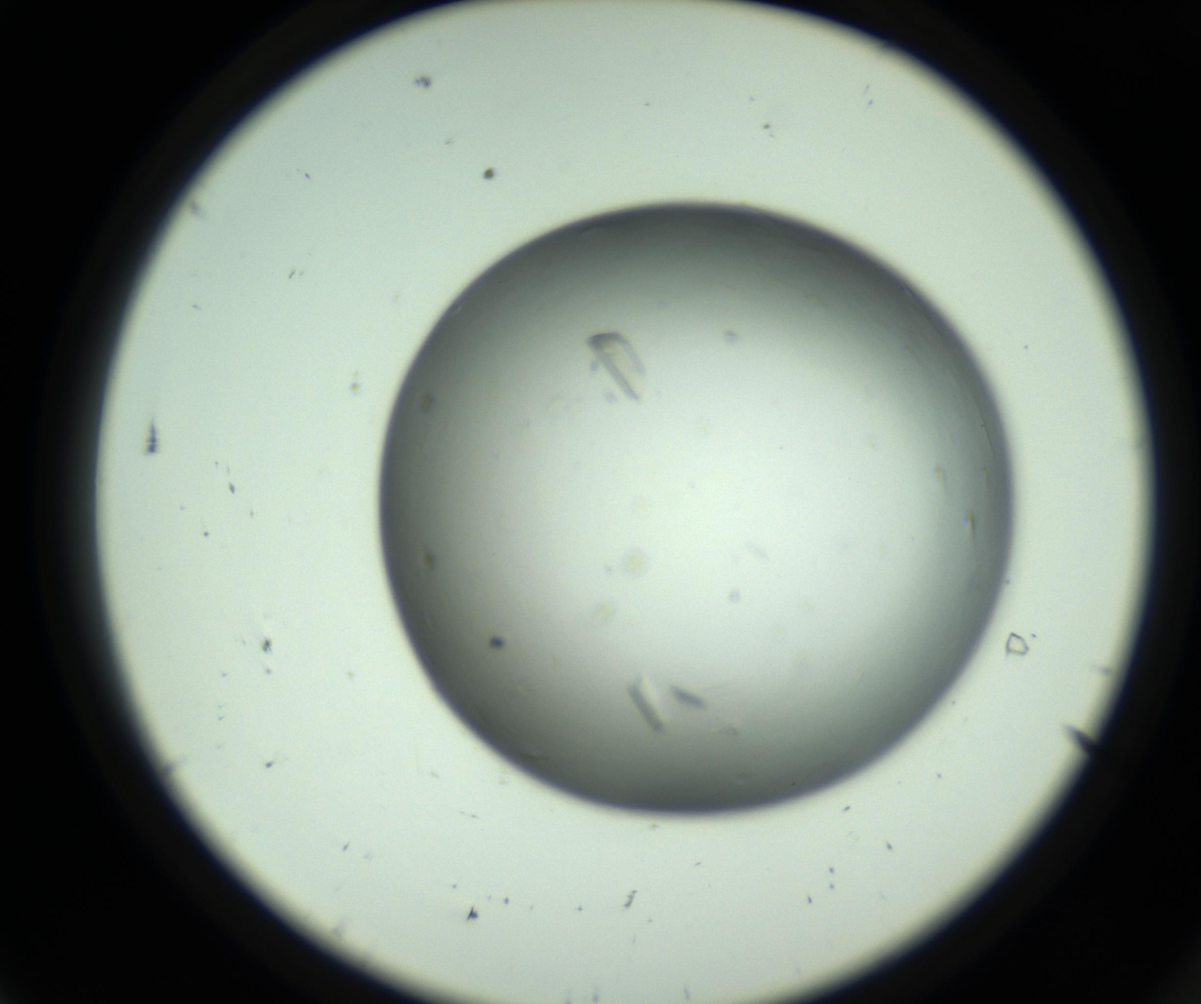 RI01_03_000_0212_Proj1_Clon1_MC_0000MC102643_012_161014_07_01_02_00_98_002_001_RAI.jpg