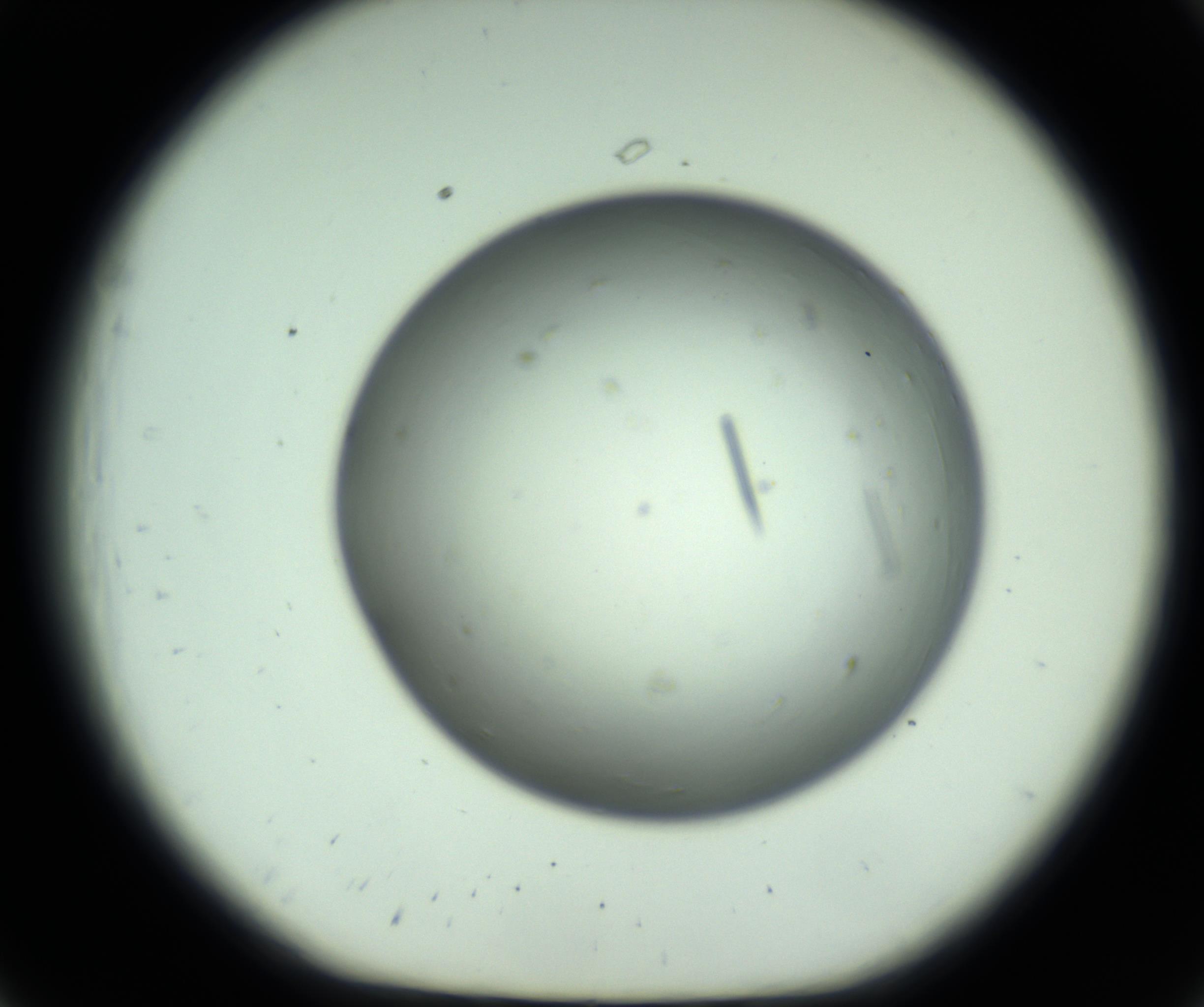 RI01_03_000_0212_Proj1_Clon1_MC_0000MC102643_012_161014_07_02_01_00_98_002_001_RAI.jpg