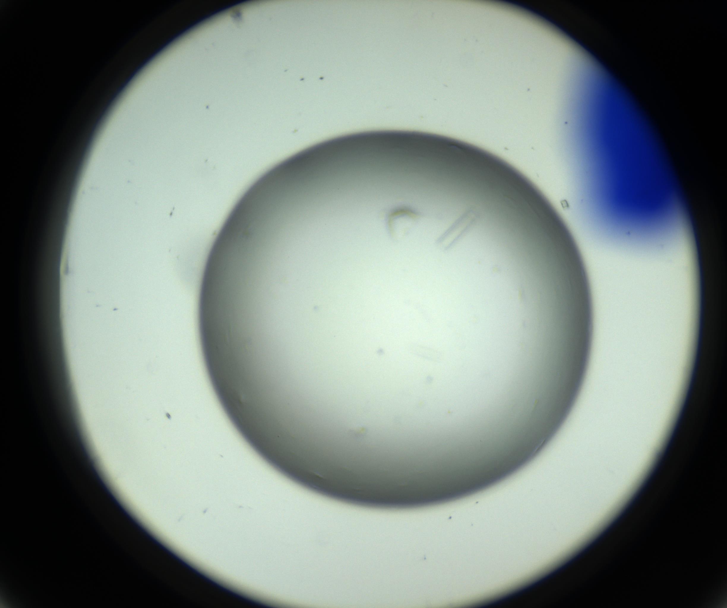 RI01_03_000_0212_Proj1_Clon1_MC_0000MC102643_012_161014_07_04_02_00_98_002_001_RAI.jpg