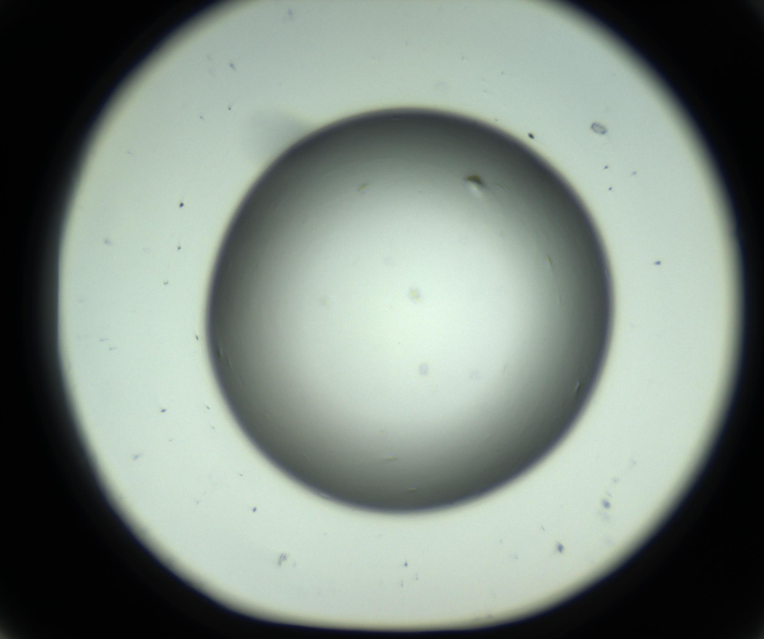 RI01_03_000_0212_Proj1_Clon1_MC_0000MC102643_012_161014_07_05_01_00_98_002_001_RAI.jpg