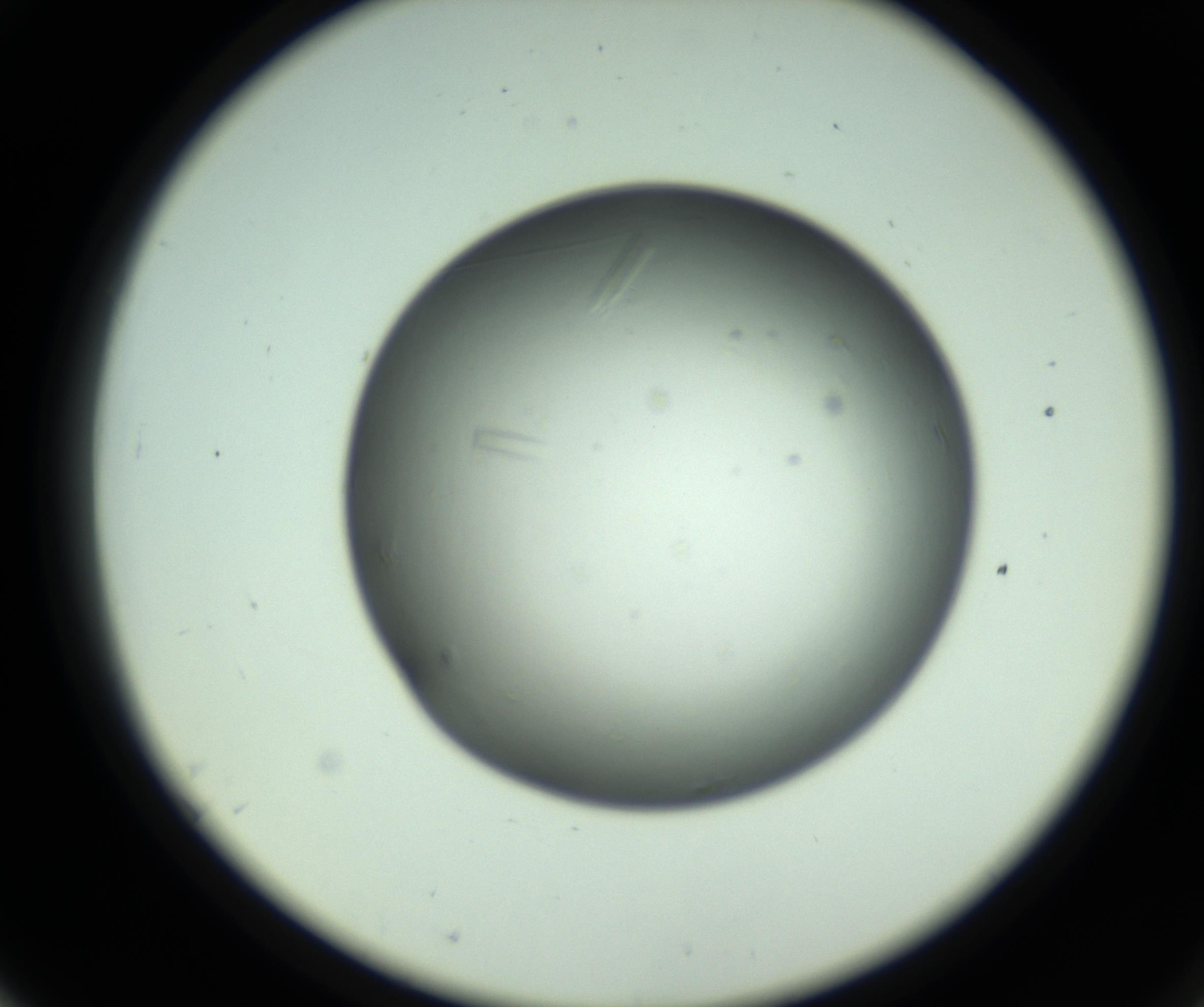 RI01_03_000_0212_Proj1_Clon1_MC_0000MC102643_012_161014_07_05_02_00_98_002_001_RAI.jpg