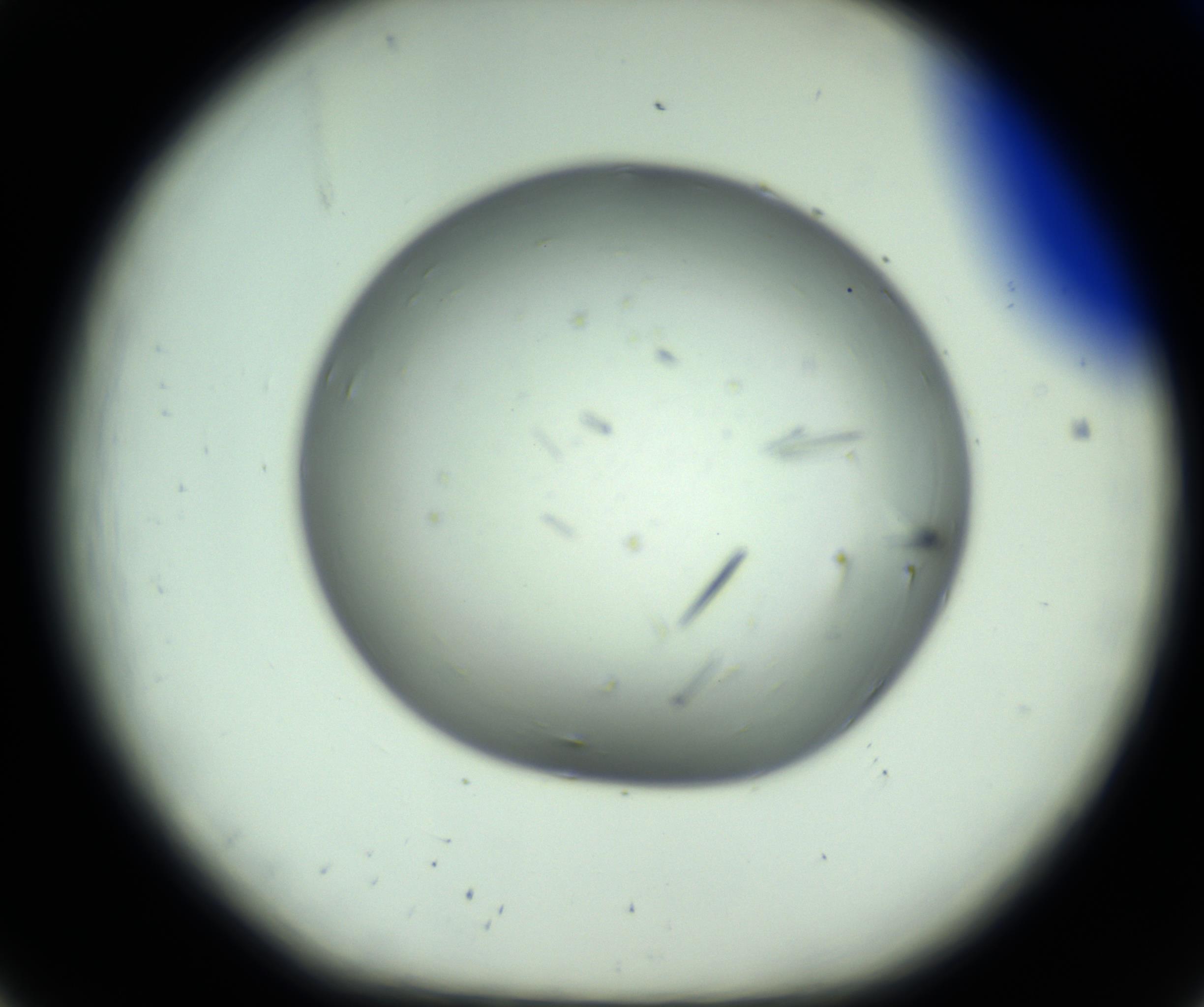 RI01_03_000_0212_Proj1_Clon1_MC_0000MC102643_012_161014_08_02_01_00_98_002_001_RAI.jpg