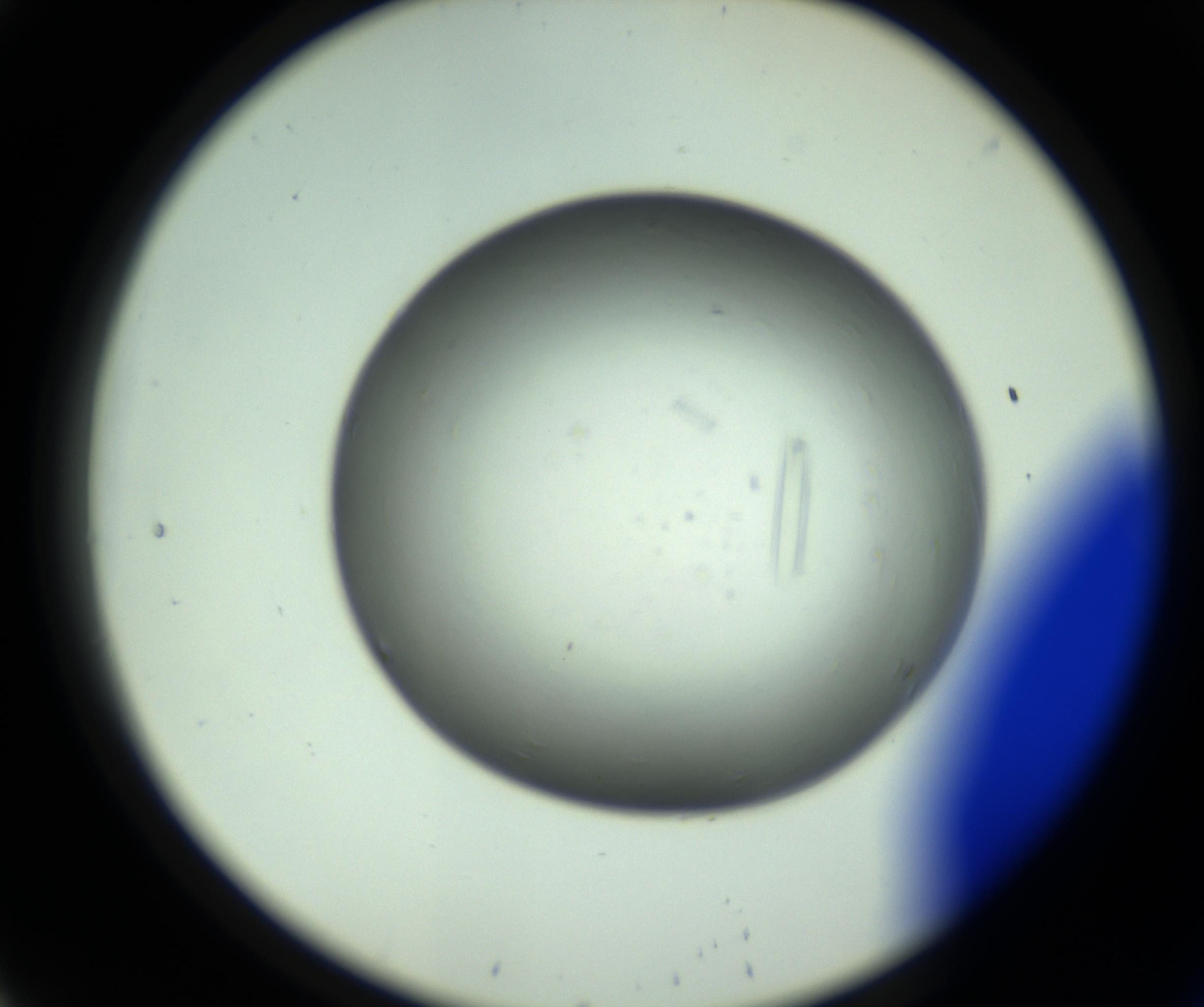 RI01_03_000_0212_Proj1_Clon1_MC_0000MC102643_012_161014_08_02_02_00_98_002_001_RAI.jpg