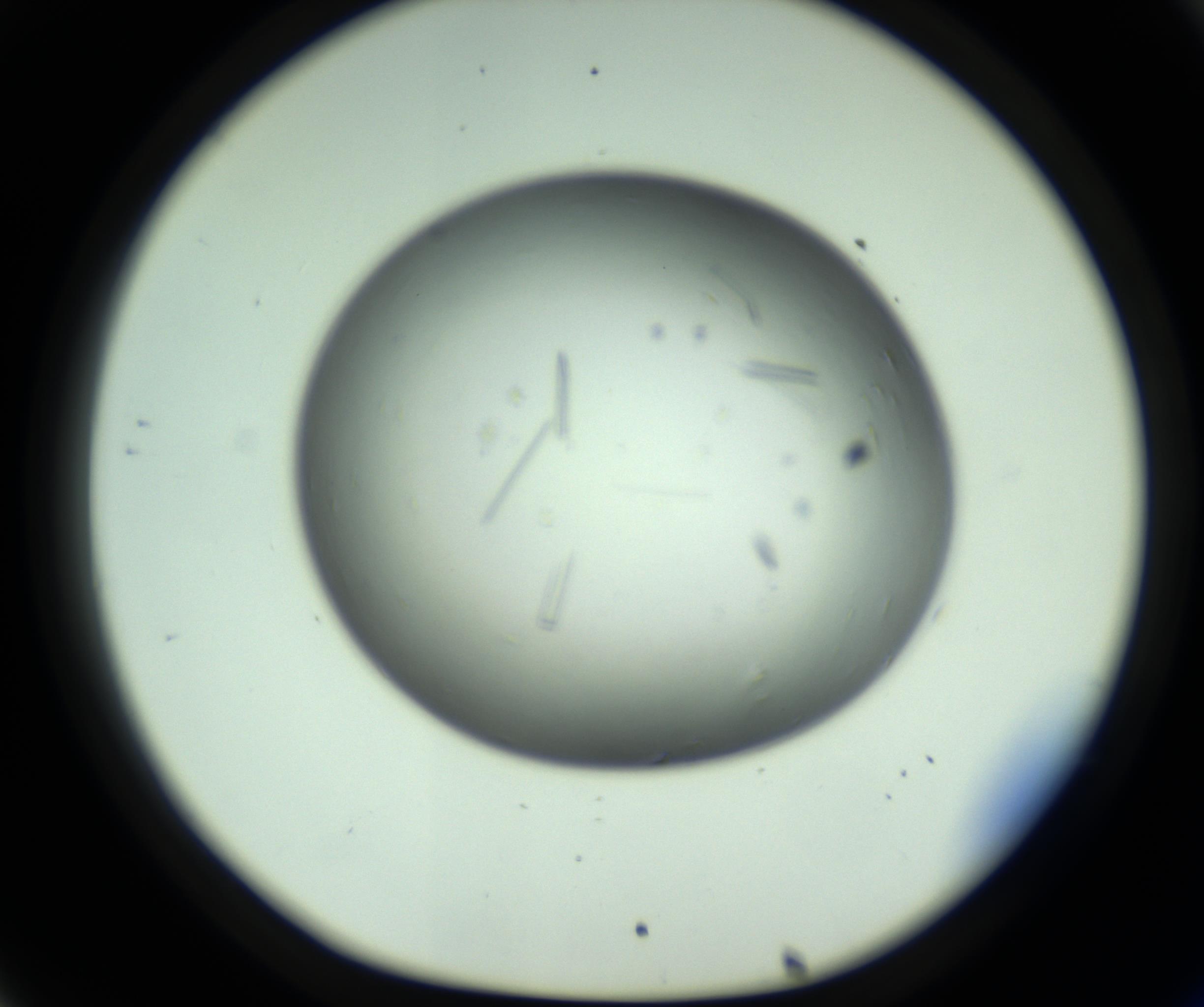 RI01_03_000_0212_Proj1_Clon1_MC_0000MC102643_012_161014_08_03_01_00_98_002_001_RAI.jpg