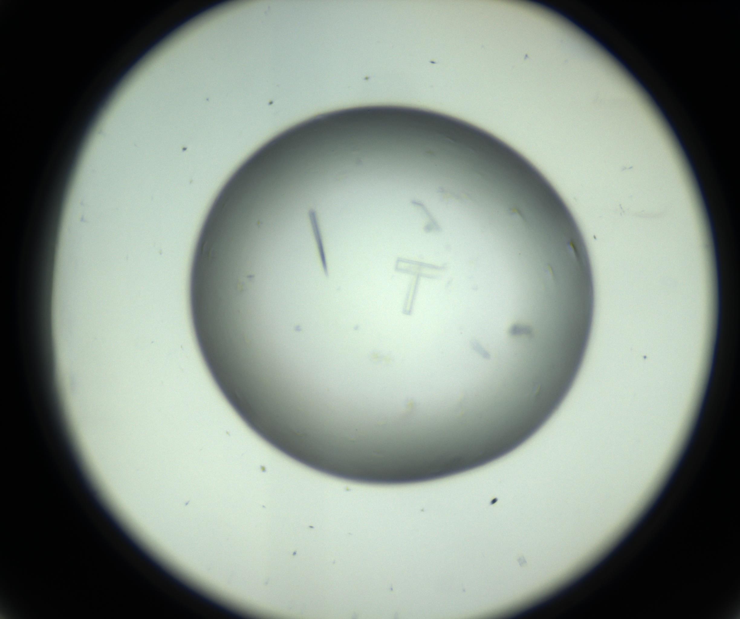 RI01_03_000_0212_Proj1_Clon1_MC_0000MC102643_012_161014_08_03_02_00_98_002_001_RAI.jpg