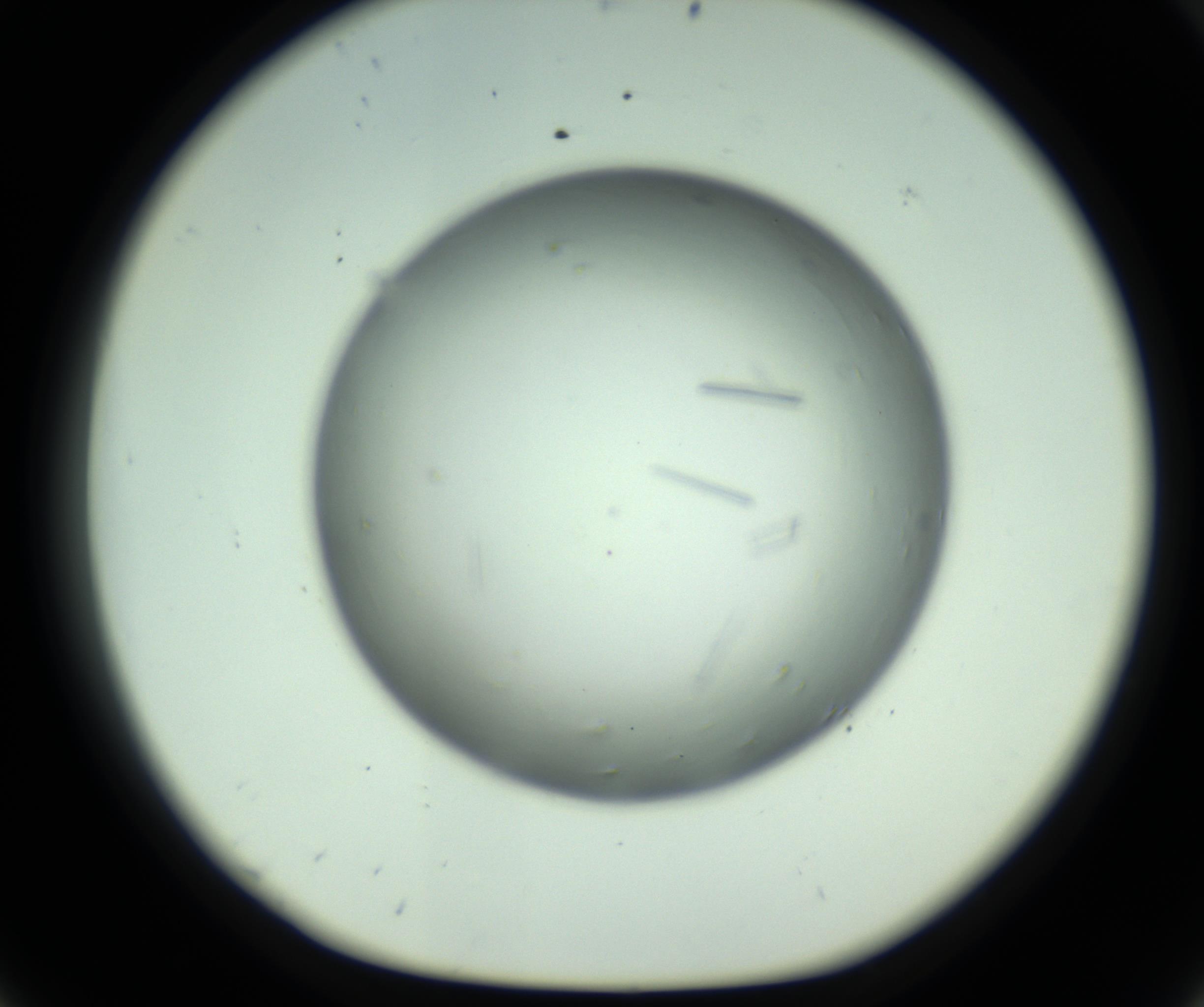 RI01_03_000_0212_Proj1_Clon1_MC_0000MC102643_012_161014_08_05_01_00_98_002_001_RAI.jpg