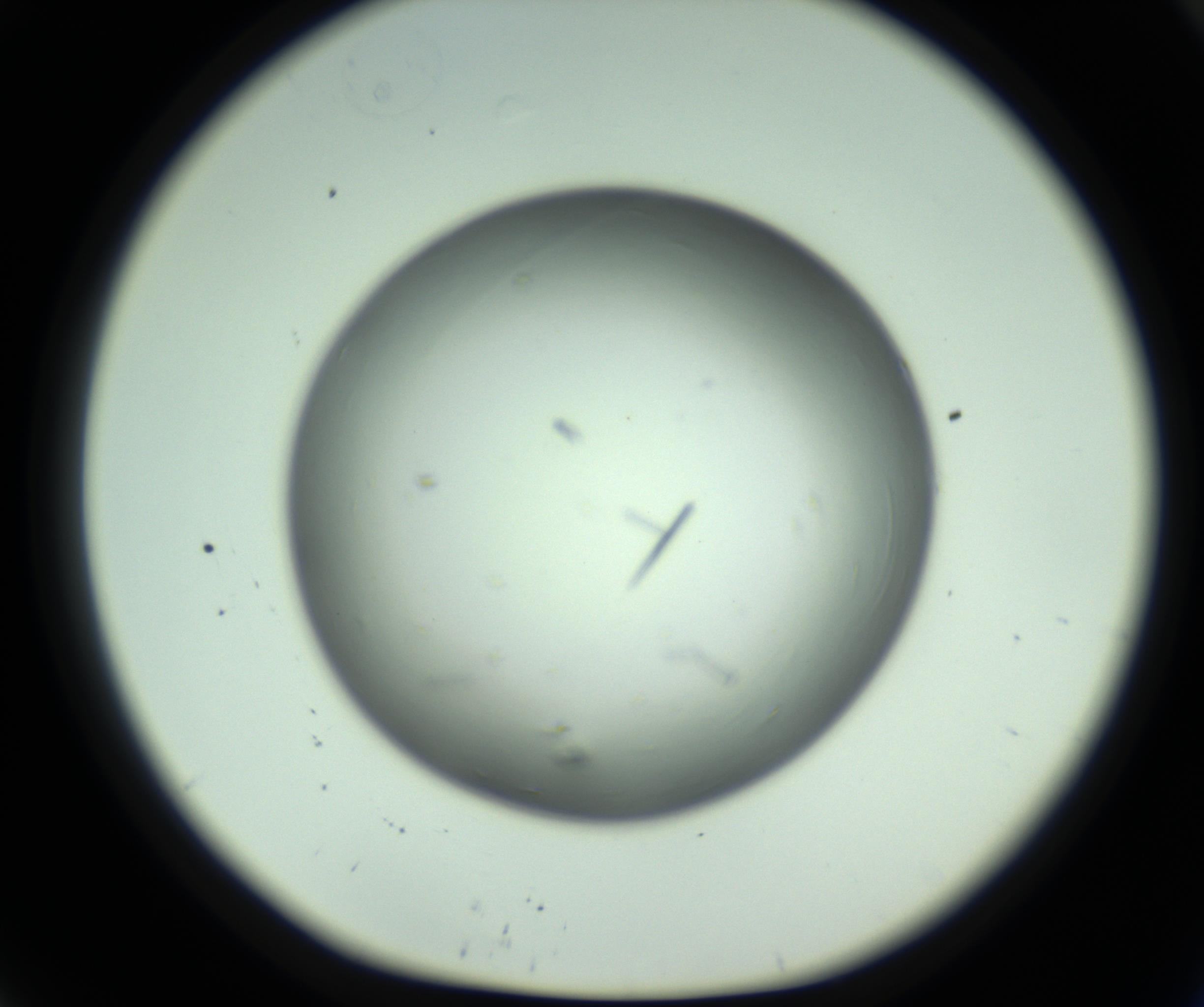 RI01_03_000_0212_Proj1_Clon1_MC_0000MC102643_012_161014_09_05_01_00_98_002_001_RAI.jpg