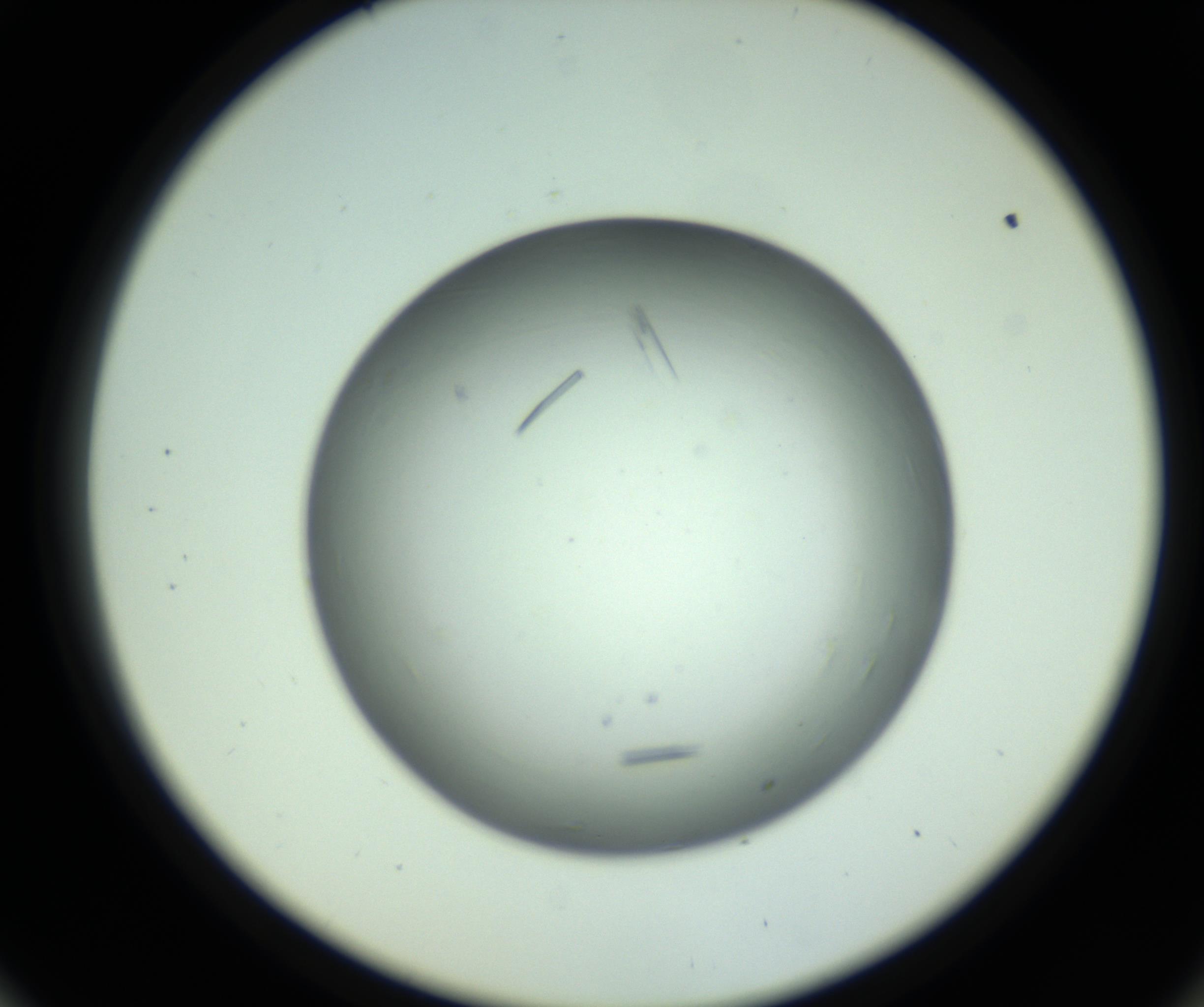 RI01_03_000_0212_Proj1_Clon1_MC_0000MC102643_012_161014_09_05_02_00_98_002_001_RAI.jpg