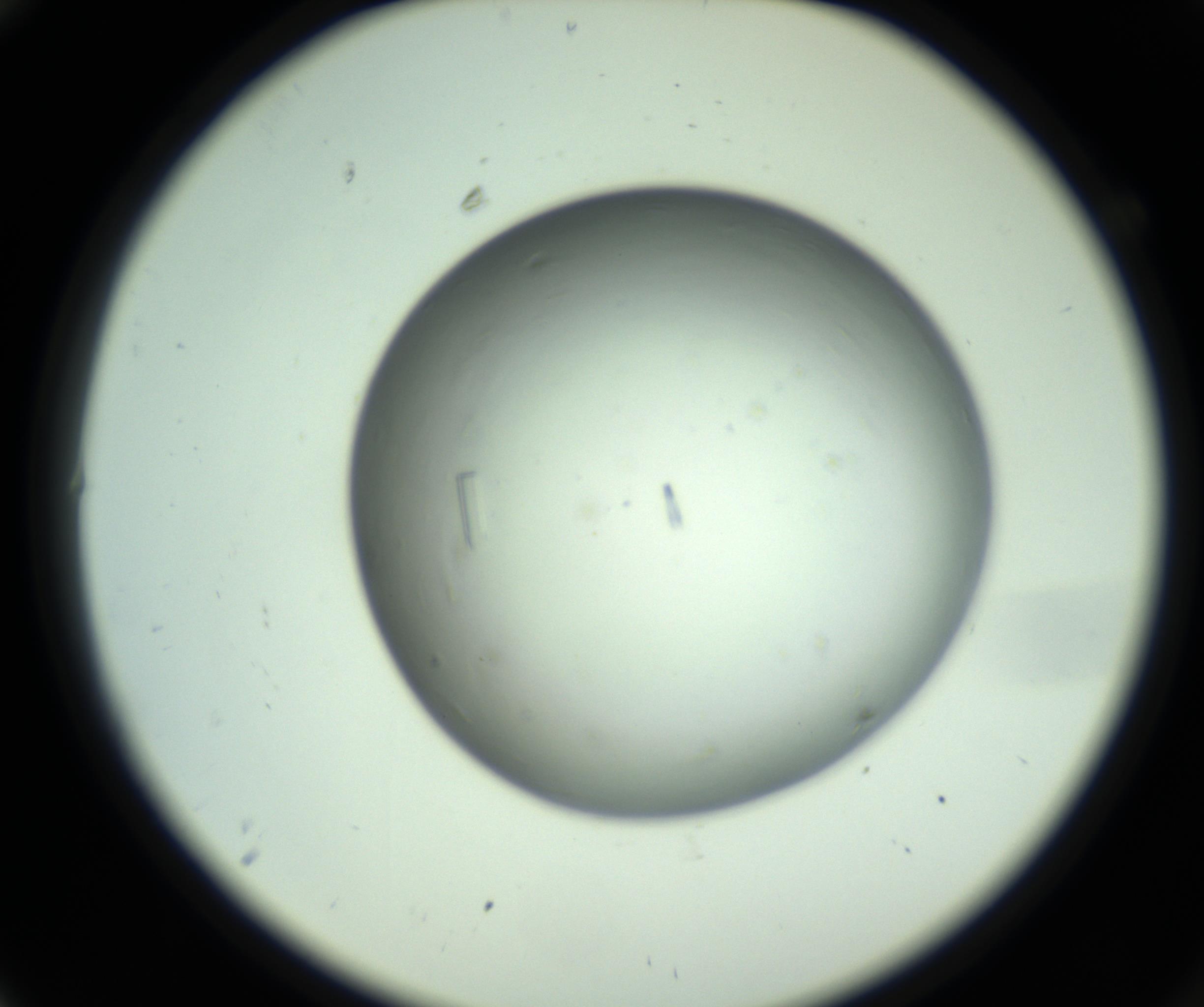 RI01_03_000_0212_Proj1_Clon1_MC_0000MC102643_012_161014_10_01_02_00_98_002_001_RAI.jpg