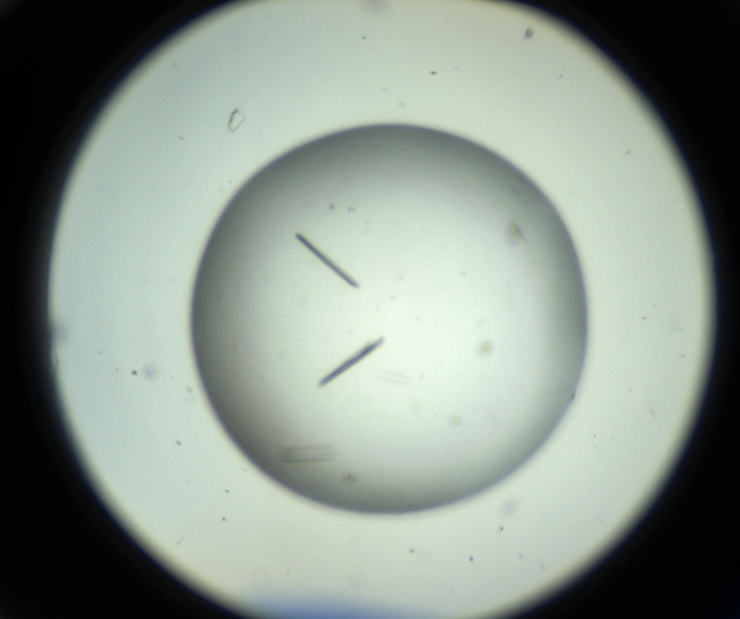 RI01_03_000_0212_Proj1_Clon1_MC_0000MC102643_012_161014_10_02_02_00_98_002_001_RAI.jpg