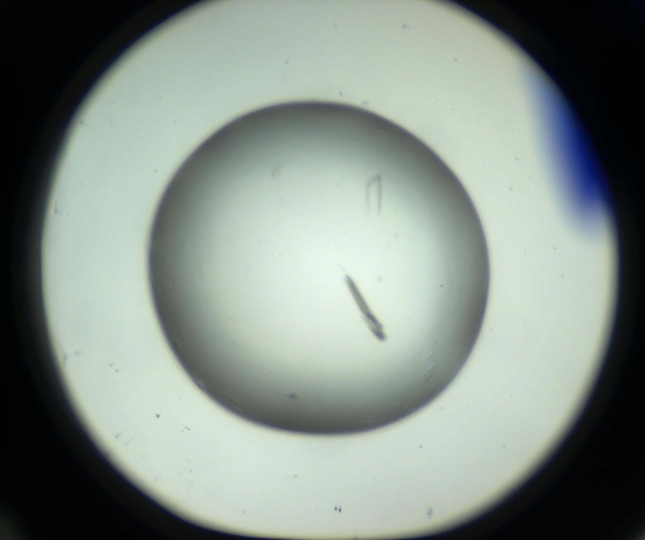 RI01_03_000_0212_Proj1_Clon1_MC_0000MC102643_012_161014_10_04_01_00_98_002_001_RAI.jpg