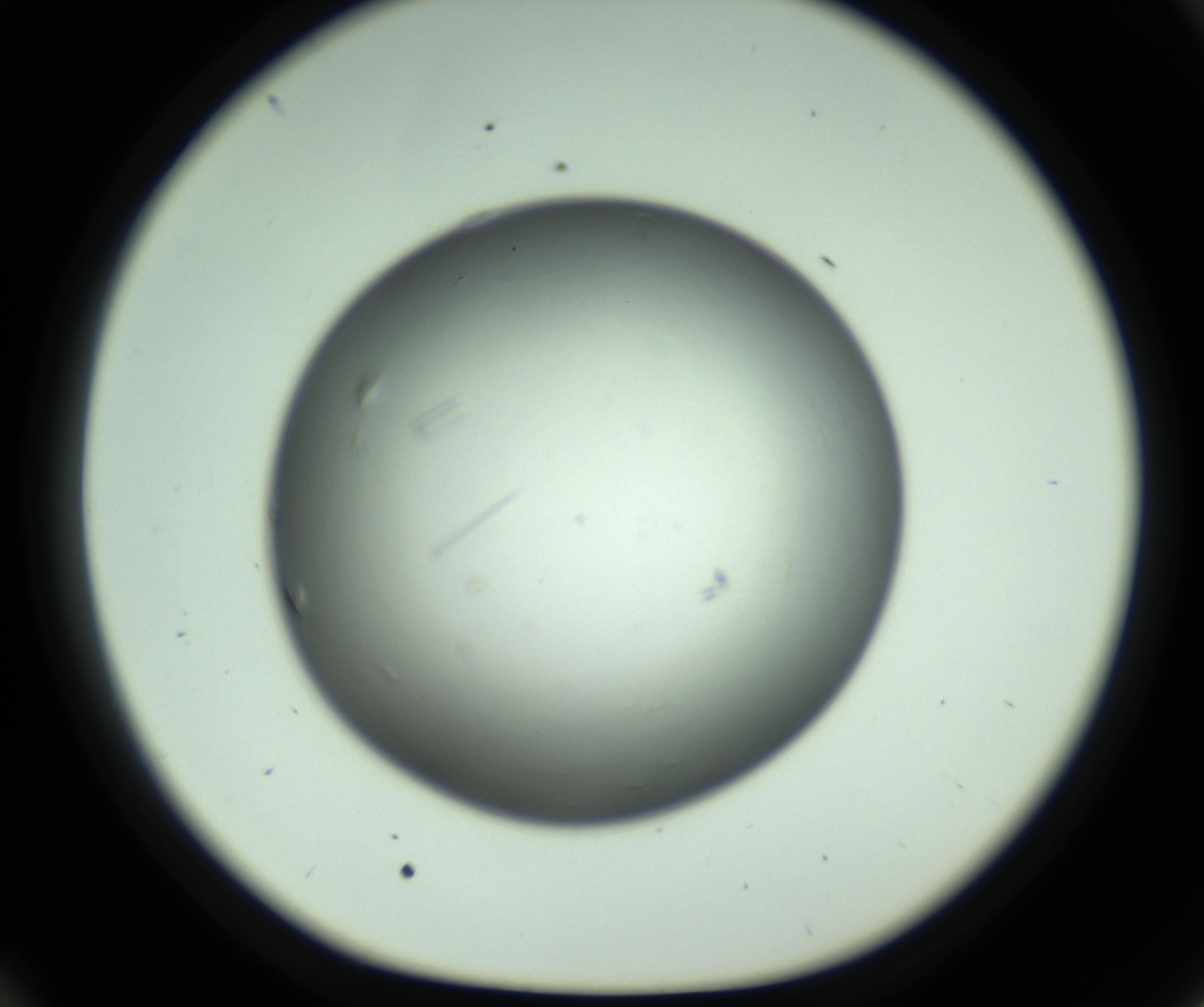 RI01_03_000_0212_Proj1_Clon1_MC_0000MC102643_012_161014_10_05_01_00_98_002_001_RAI.jpg