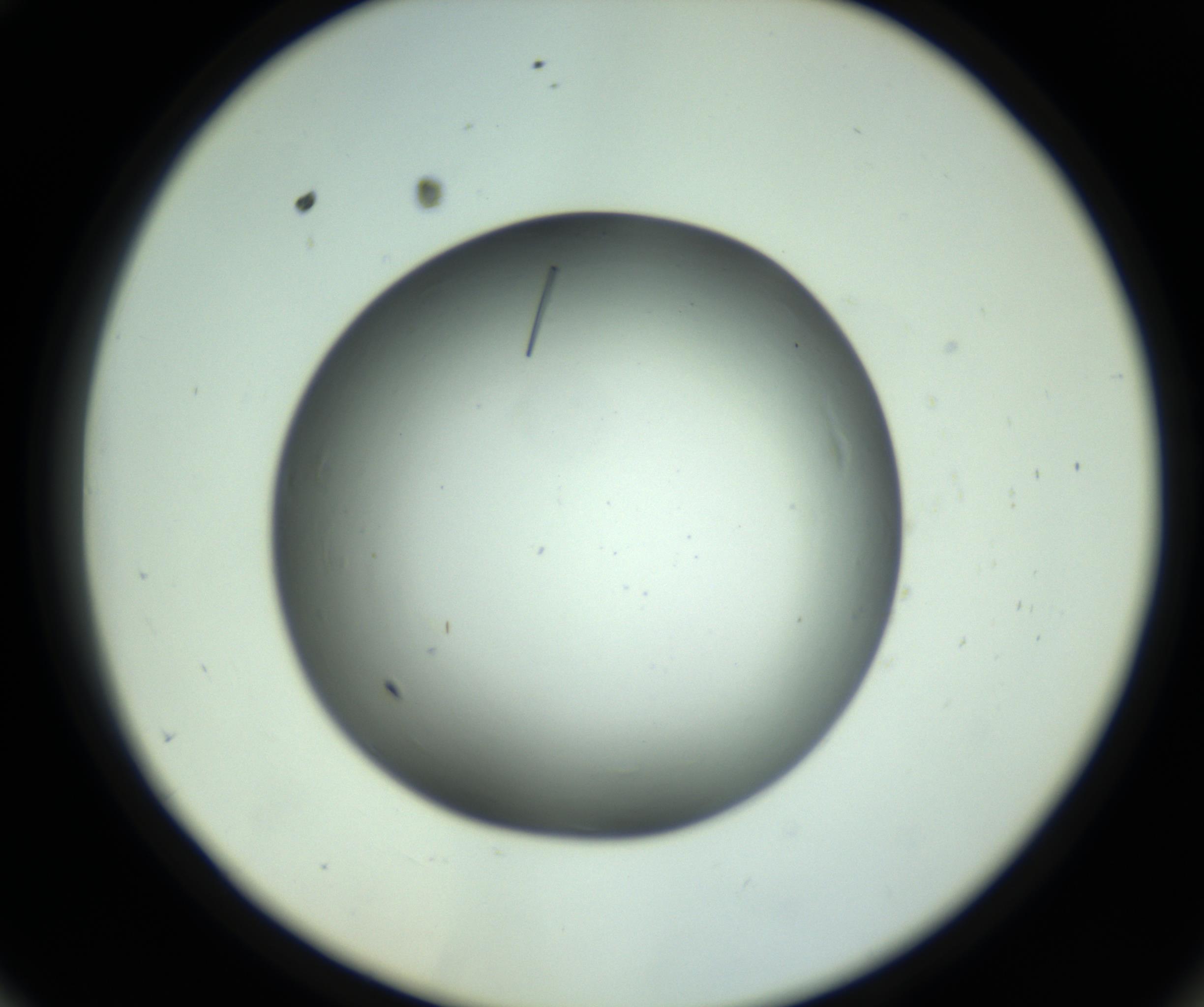 RI01_03_000_0212_Proj1_Clon1_MC_0000MC102643_012_161014_10_05_02_00_98_002_001_RAI.jpg