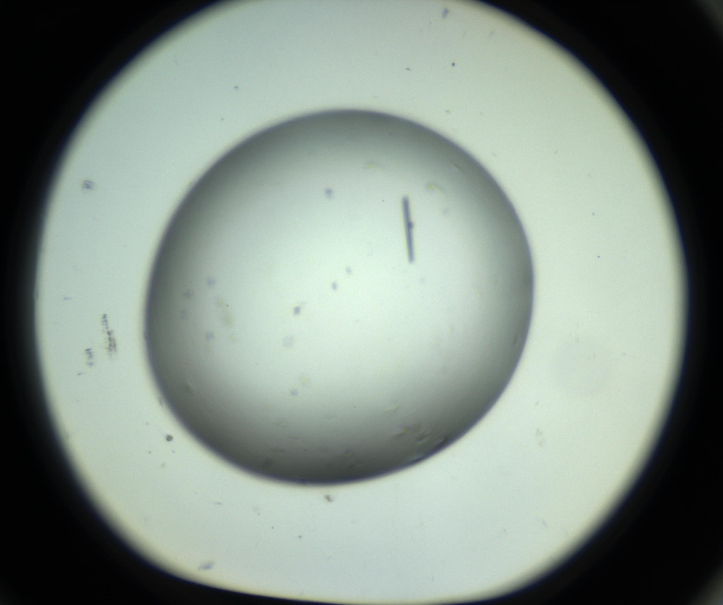 RI01_03_000_0212_Proj1_Clon1_MC_0000MC102643_012_161014_10_08_01_00_98_002_001_RAI.jpg