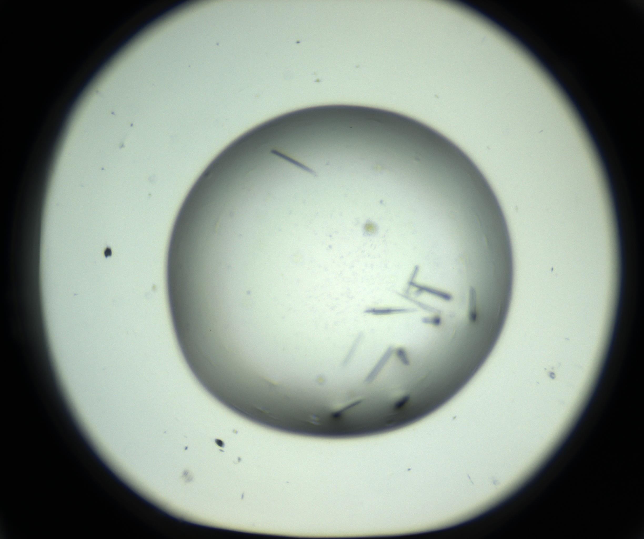 RI01_03_000_0212_Proj1_Clon1_MC_0000MC102643_012_161014_11_02_01_00_98_002_001_RAI.jpg