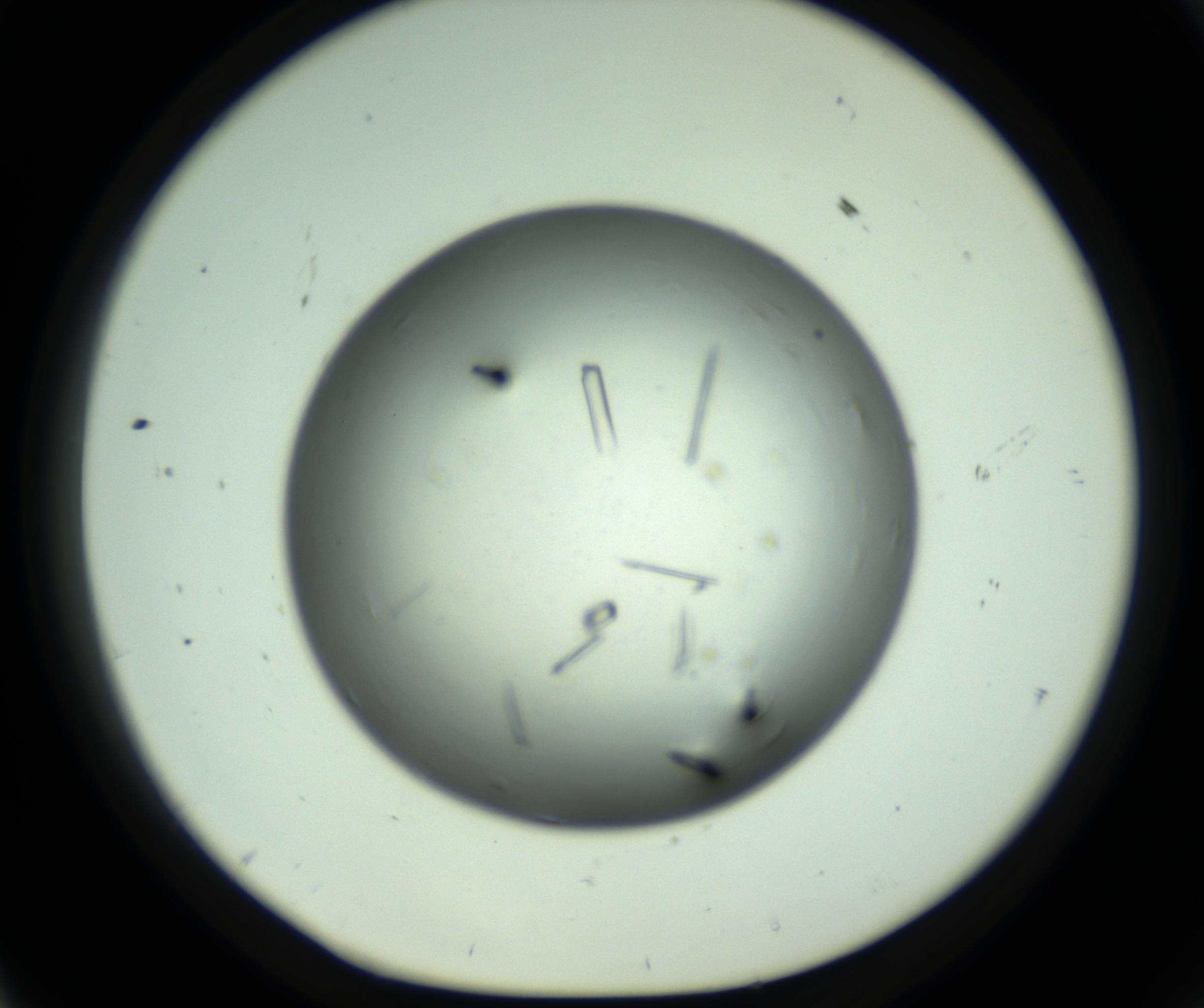 RI01_03_000_0212_Proj1_Clon1_MC_0000MC102643_012_161014_11_05_01_00_98_002_001_RAI.jpg