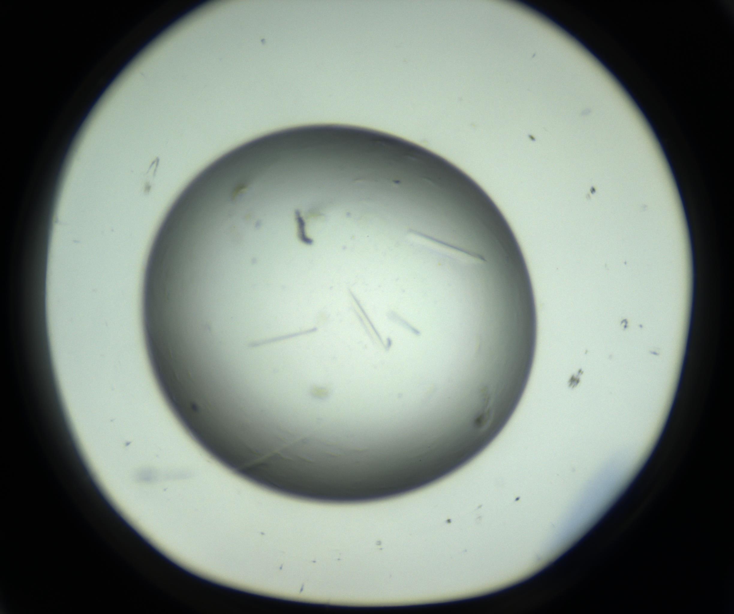 RI01_03_000_0212_Proj1_Clon1_MC_0000MC102643_012_161014_11_06_01_00_98_002_001_RAI.jpg