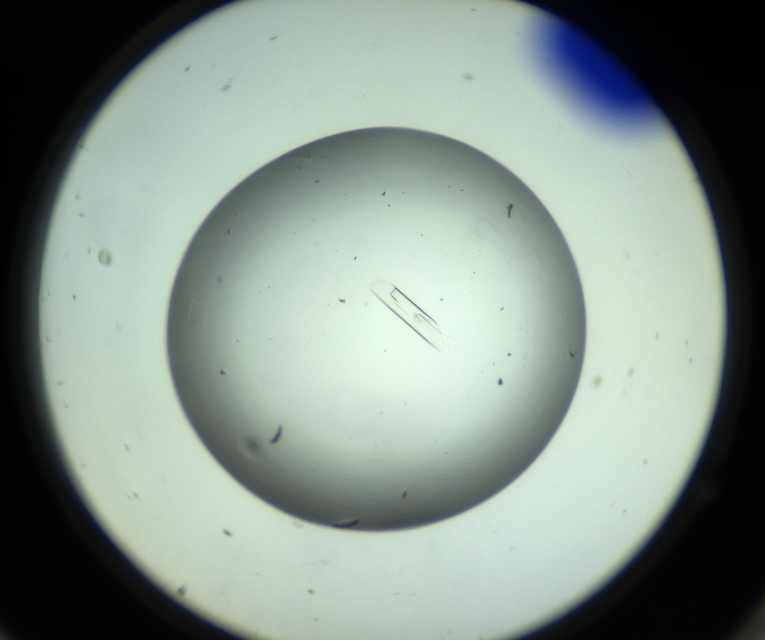 RI01_03_000_0212_Proj1_Clon1_MC_0000MC102643_012_161014_11_07_02_00_98_002_001_RAI.jpg