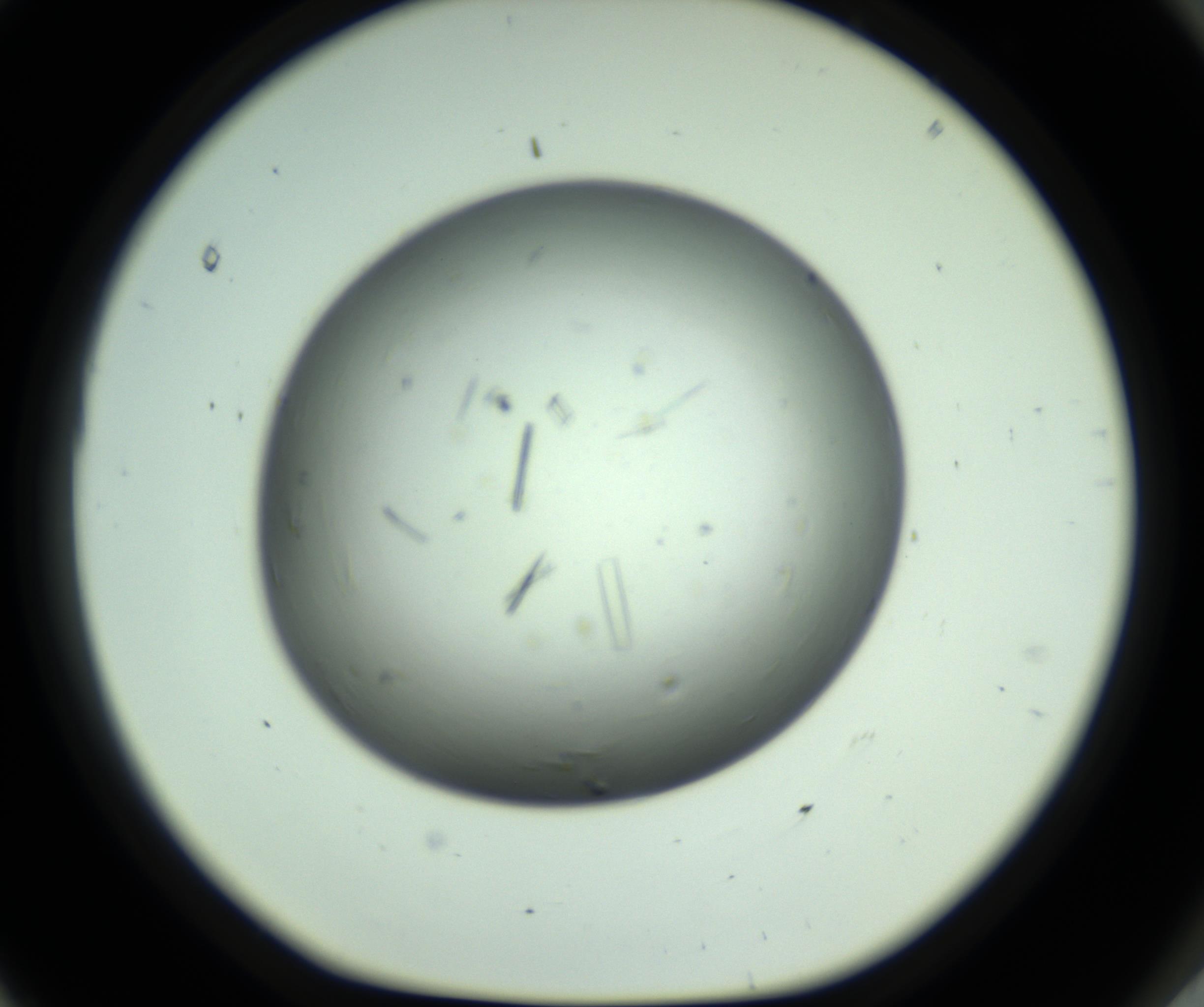 RI01_03_000_0212_Proj1_Clon1_MC_0000MC102643_012_161014_11_08_01_00_98_002_001_RAI.jpg