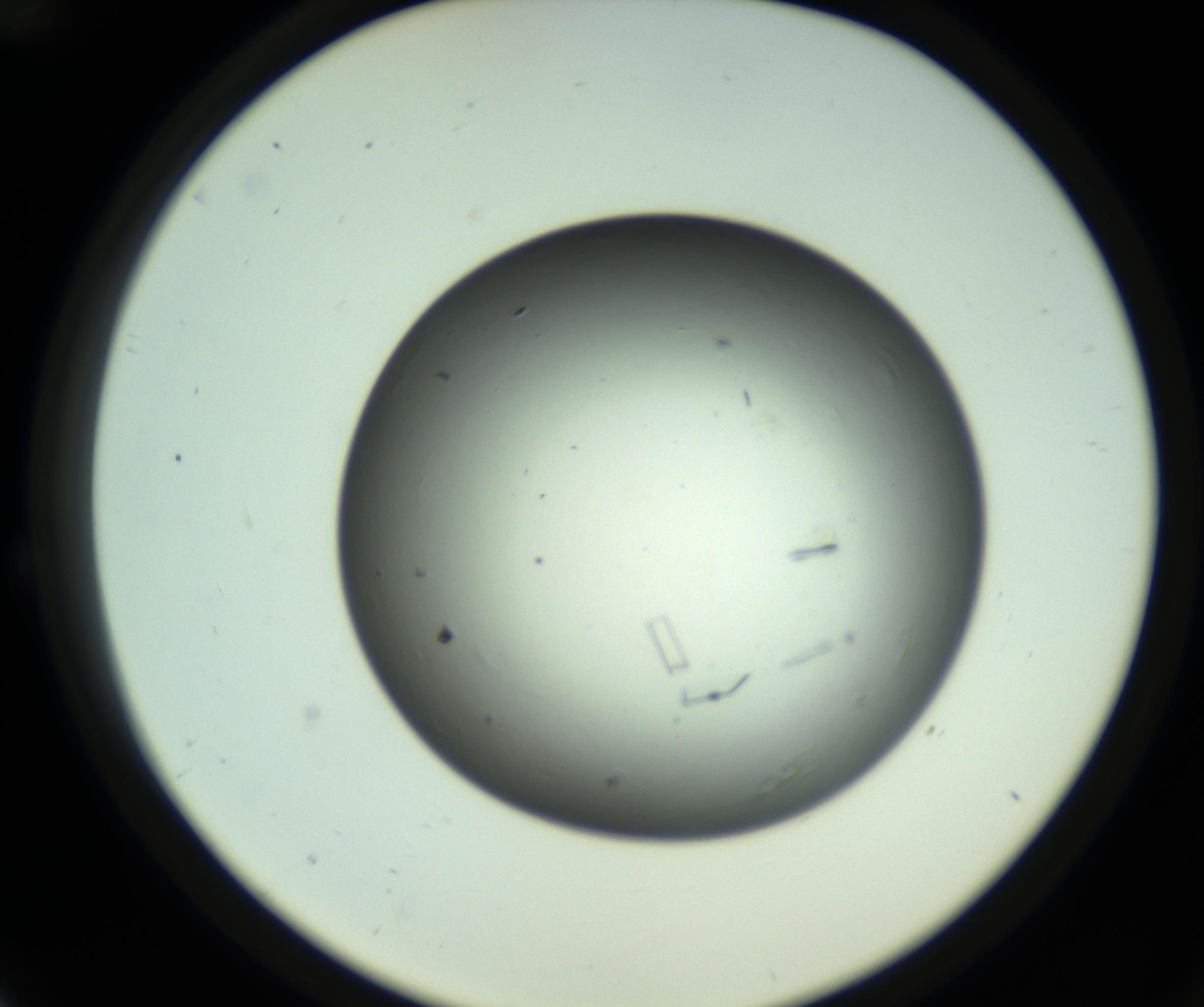RI01_03_000_0212_Proj1_Clon1_MC_0000MC102643_012_161014_12_02_02_00_98_002_001_RAI.jpg