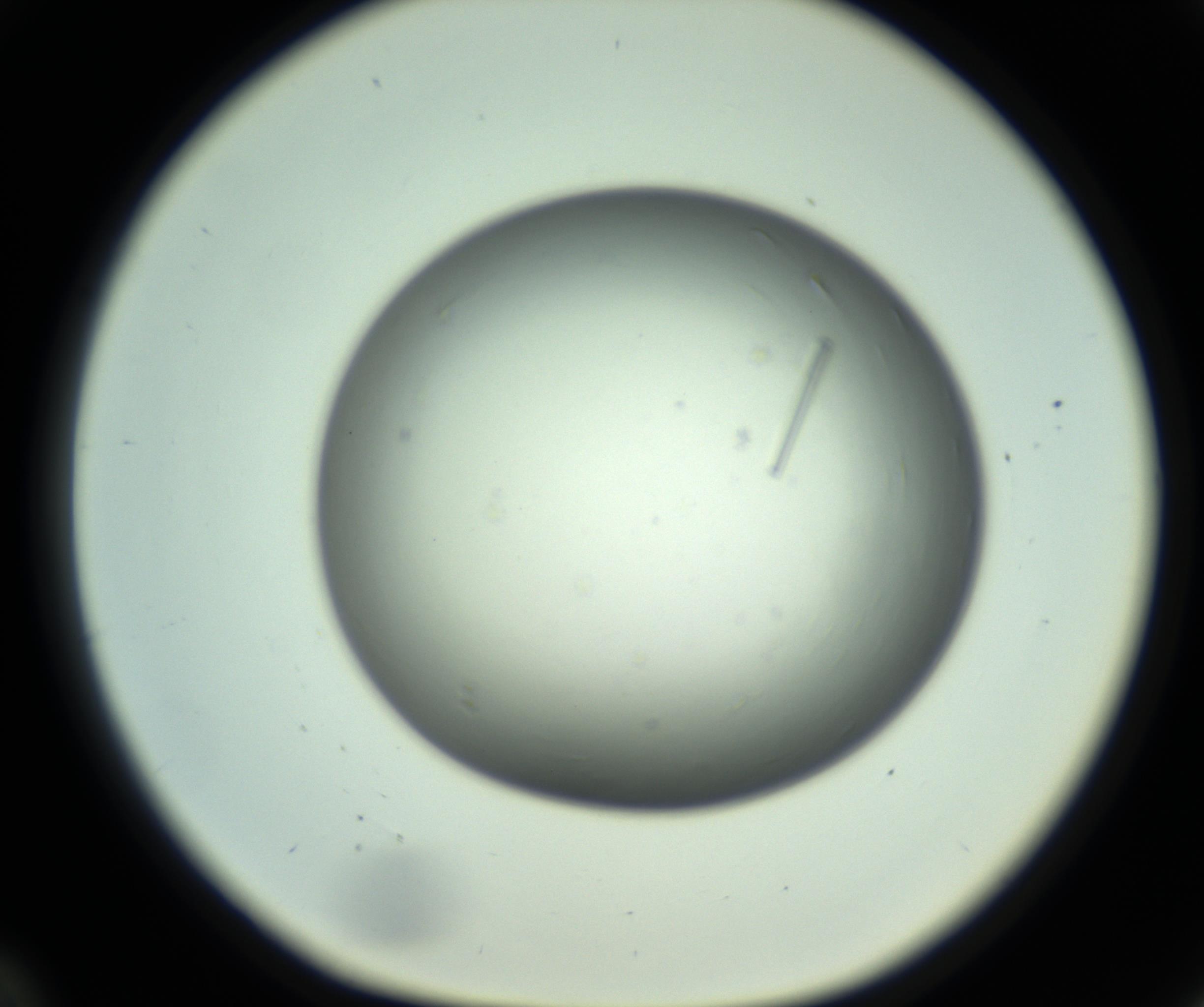 RI01_03_000_0212_Proj1_Clon1_MC_0000MC102643_012_161014_12_03_01_00_98_002_001_RAI.jpg
