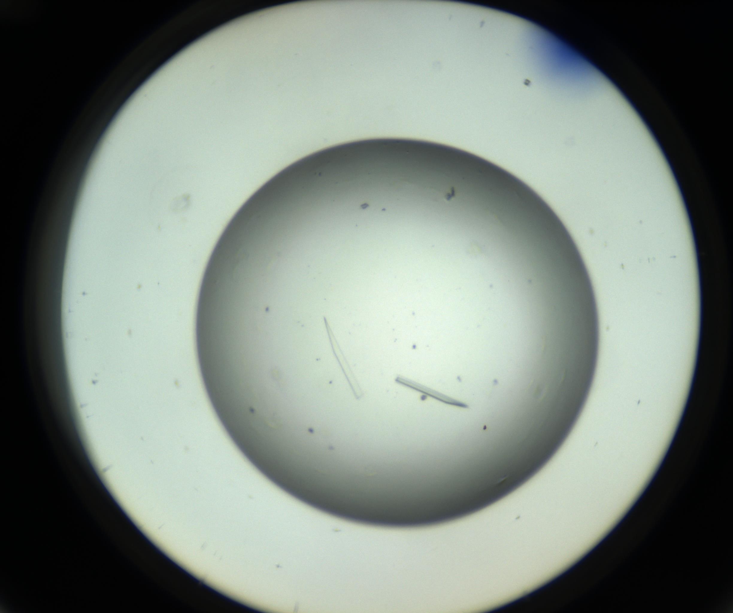 RI01_03_000_0212_Proj1_Clon1_MC_0000MC102643_012_161014_12_04_02_00_98_002_001_RAI.jpg