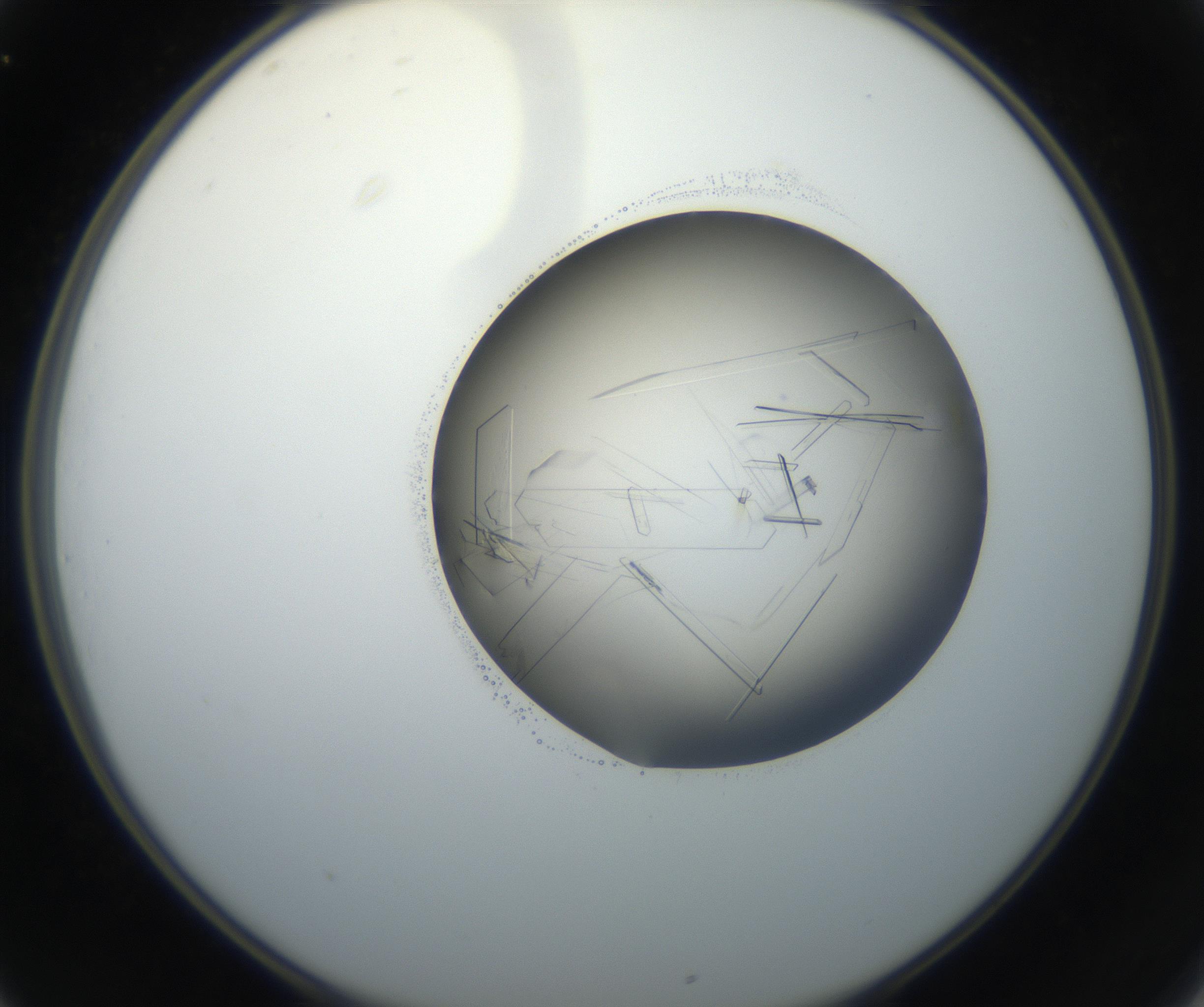 RI01_03_000_0212_Proj1_Clon1_MC_0000MC102645_002_160814_01_03_02_00_99_002_001_RAI.jpg