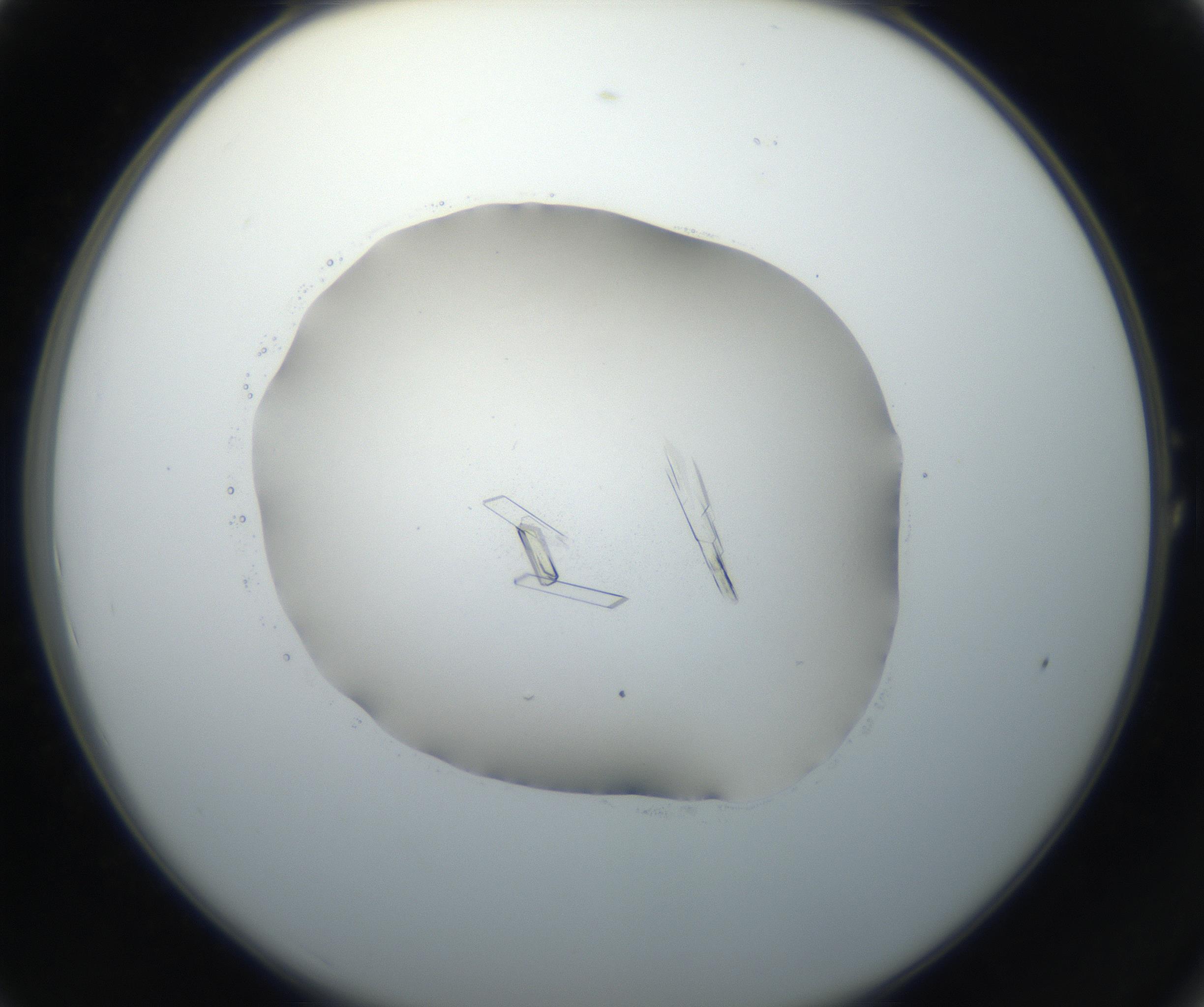 RI01_03_000_0212_Proj1_Clon1_MC_0000MC102647_002_160814_01_01_02_00_99_002_001_RAI.jpg
