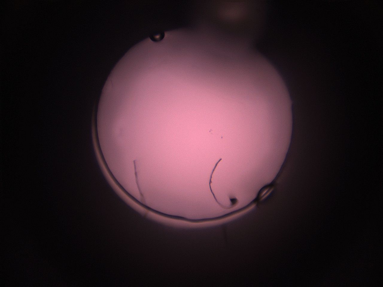 05i2_M5_ImagerDefaults_1.jpg