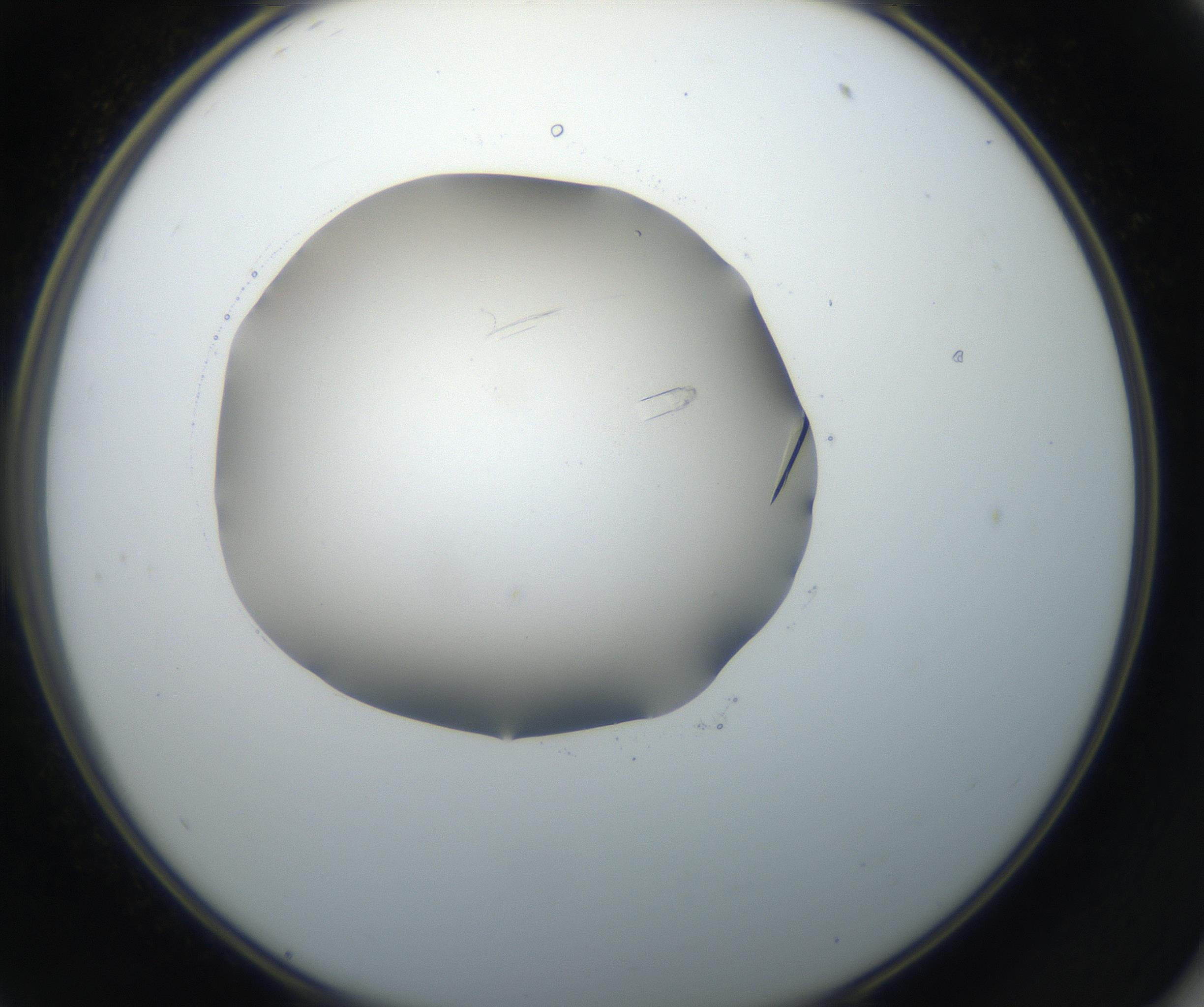 RI01_03_000_0212_Proj1_Clon1_MC_0000MC102648_002_160814_11_05_02_00_99_002_001_RAI.jpg