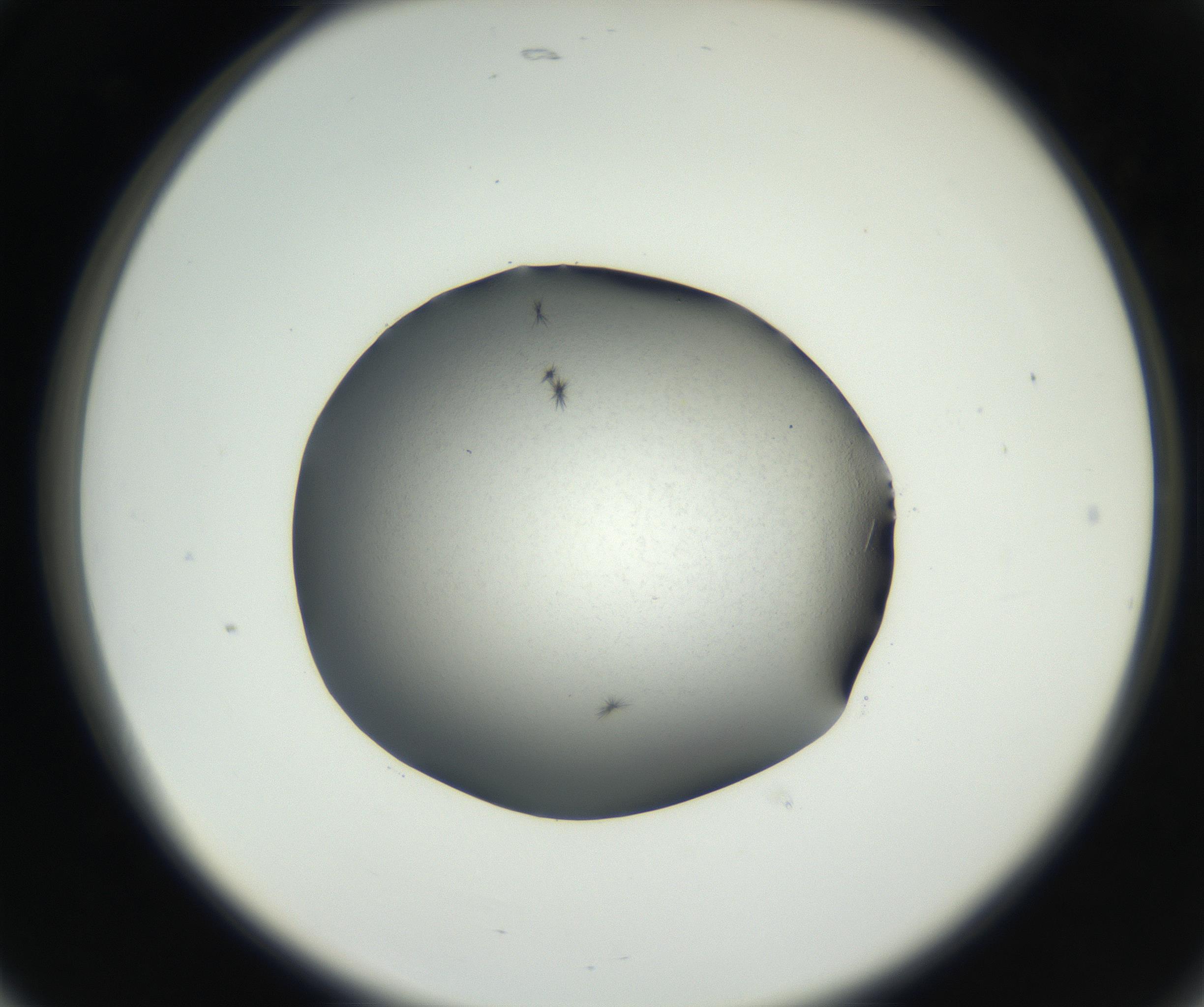 RI01_03_000_0212_Proj1_Clon1_MC_0000MC102649_002_160818_05_02_02_00_99_002_001_RAI.jpg