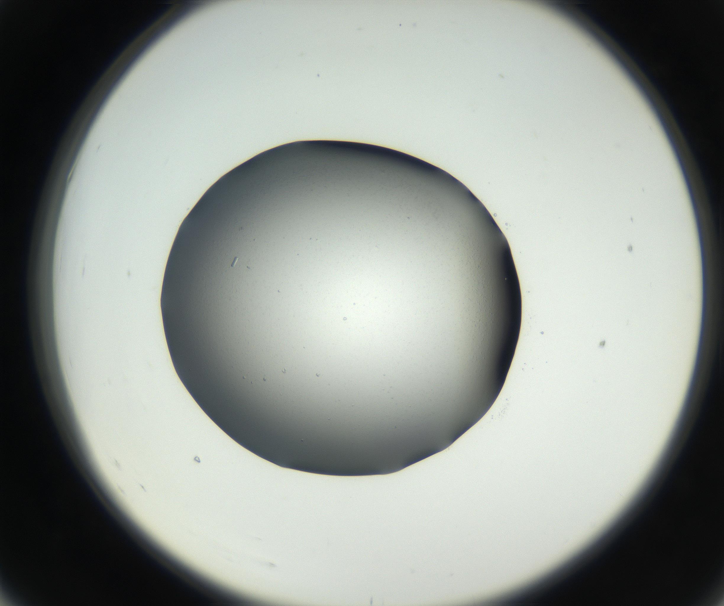 RI01_03_000_0212_Proj1_Clon1_MC_0000MC102649_002_160818_07_05_02_00_99_002_001_RAI.jpg