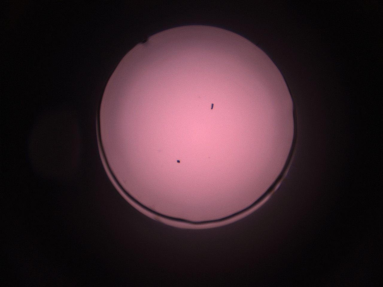 05i2_M7_ImagerDefaults_1.jpg