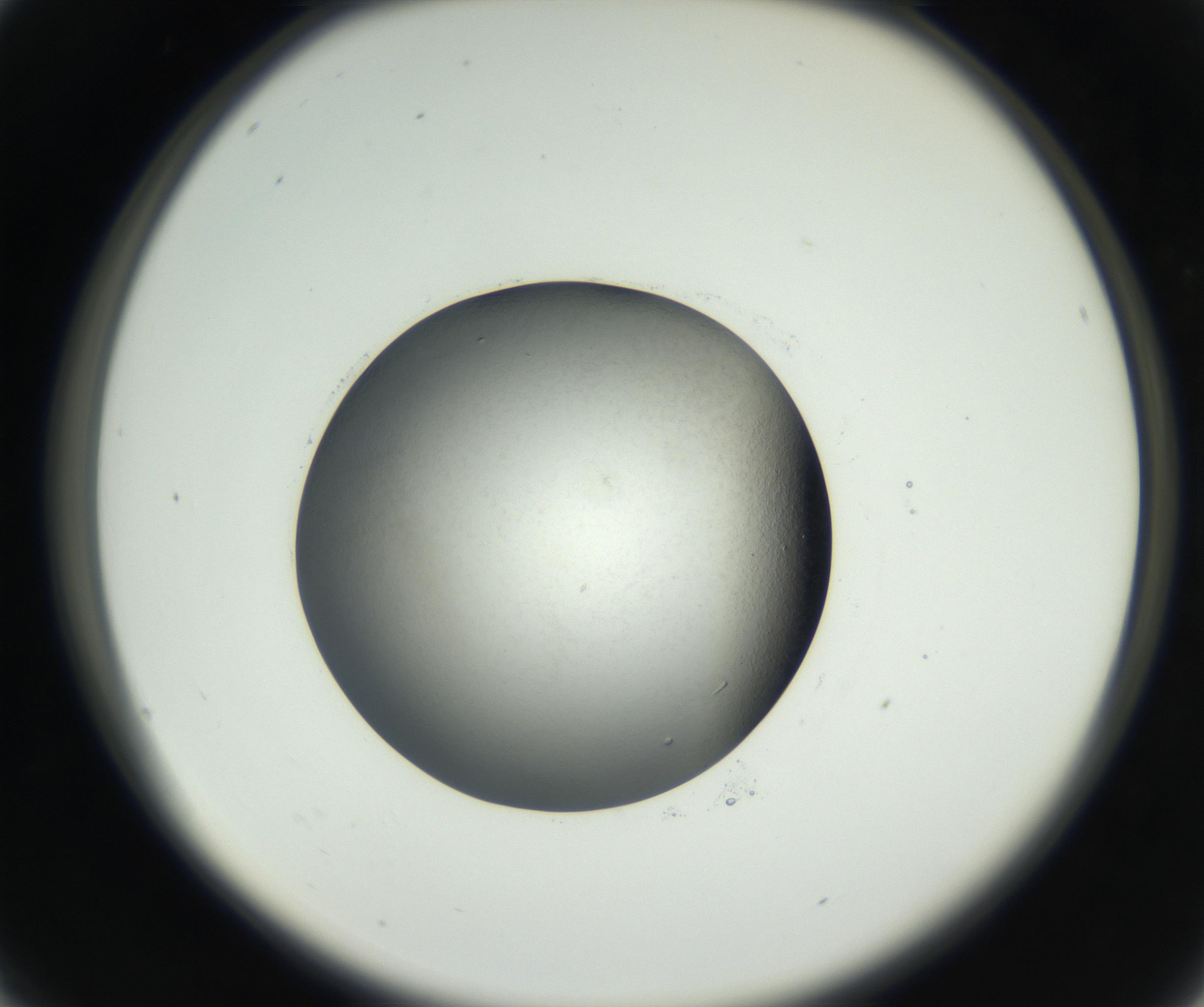 RI01_03_000_0212_Proj1_Clon1_MC_0000MC102649_003_160820_04_02_02_00_99_002_001_RAI.jpg