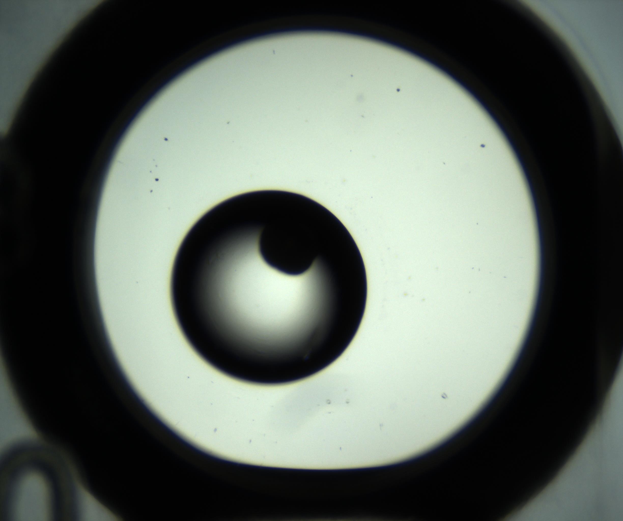 RI01_03_000_0212_Proj1_Clon1_MC_0000MC102649_015_161026_10_02_01_00_98_002_001_RAI.jpg