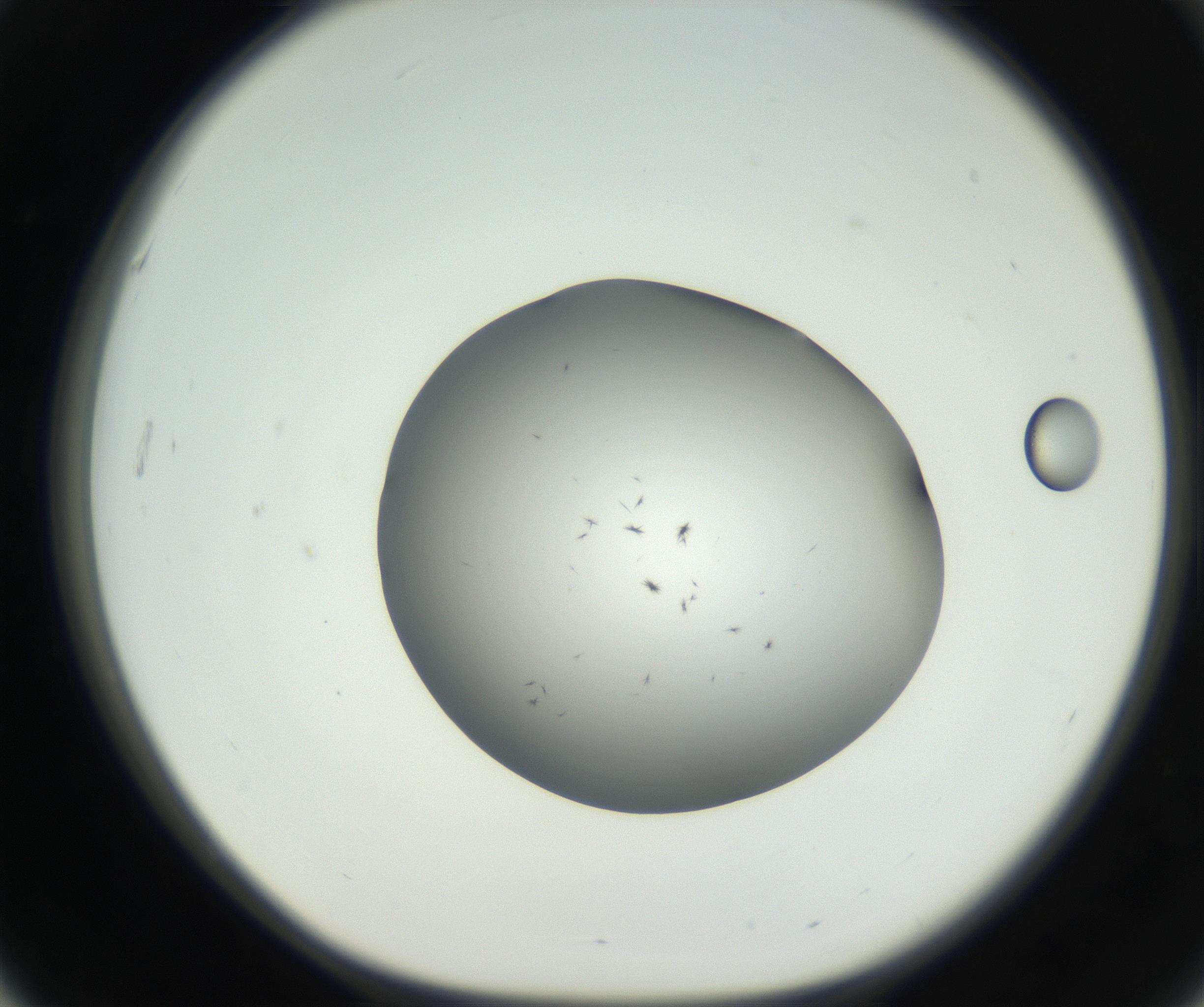 RI01_03_000_0212_Proj1_Clon1_MC_0000MC102650_002_160818_03_05_01_00_99_002_001_RAI.jpg