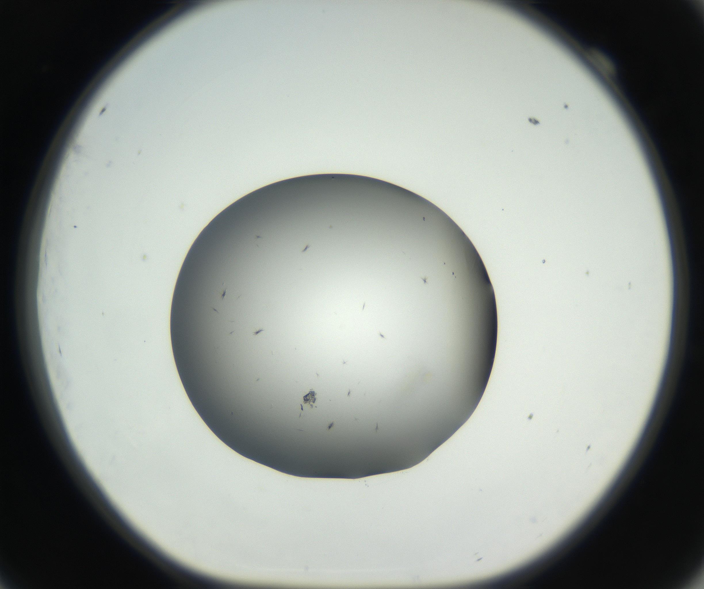 RI01_03_000_0212_Proj1_Clon1_MC_0000MC102650_002_160818_09_06_01_00_99_002_001_RAI.jpg