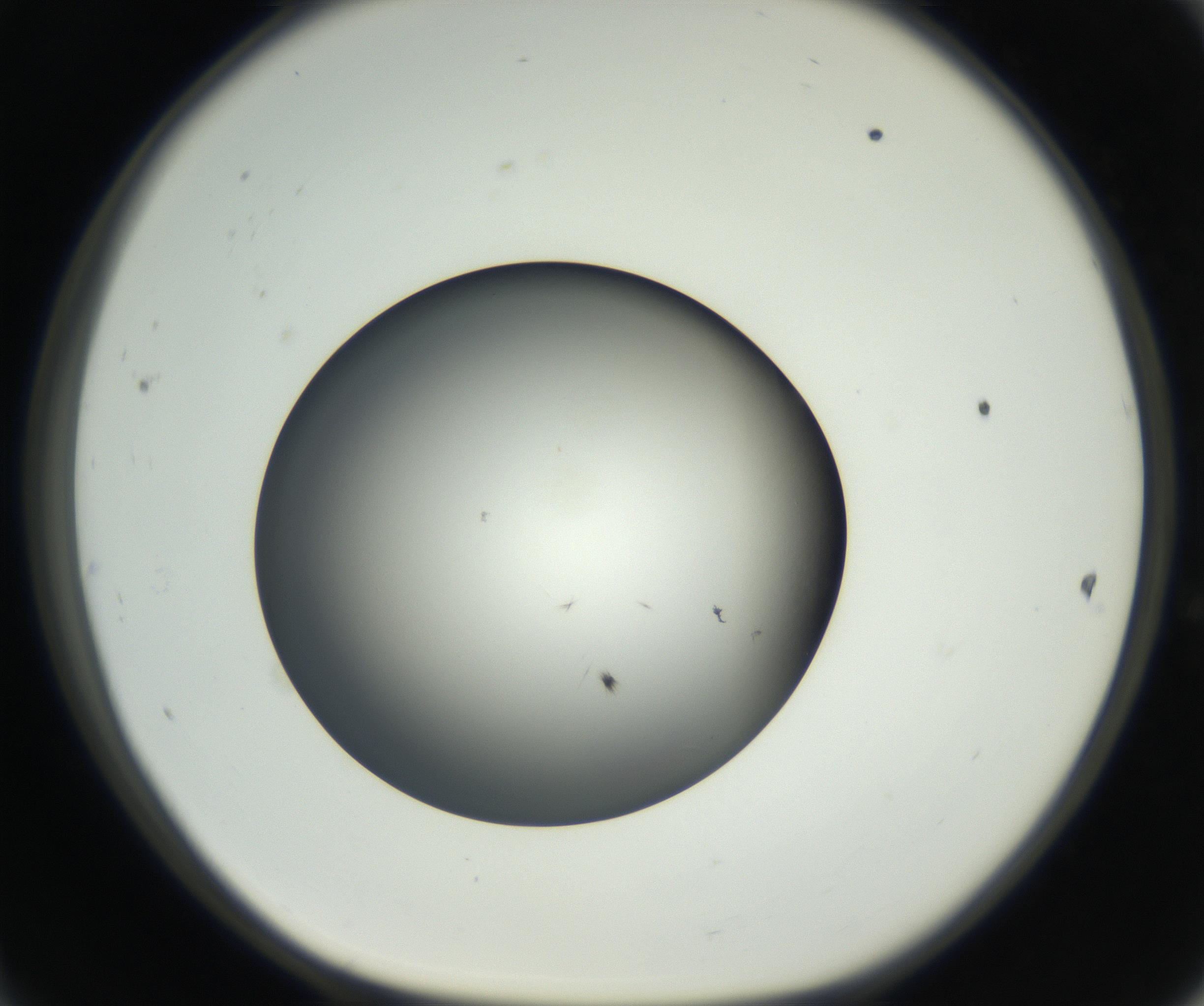 RI01_03_000_0212_Proj1_Clon1_MC_0000MC102650_005_160824_11_04_01_00_99_002_001_RAI.jpg