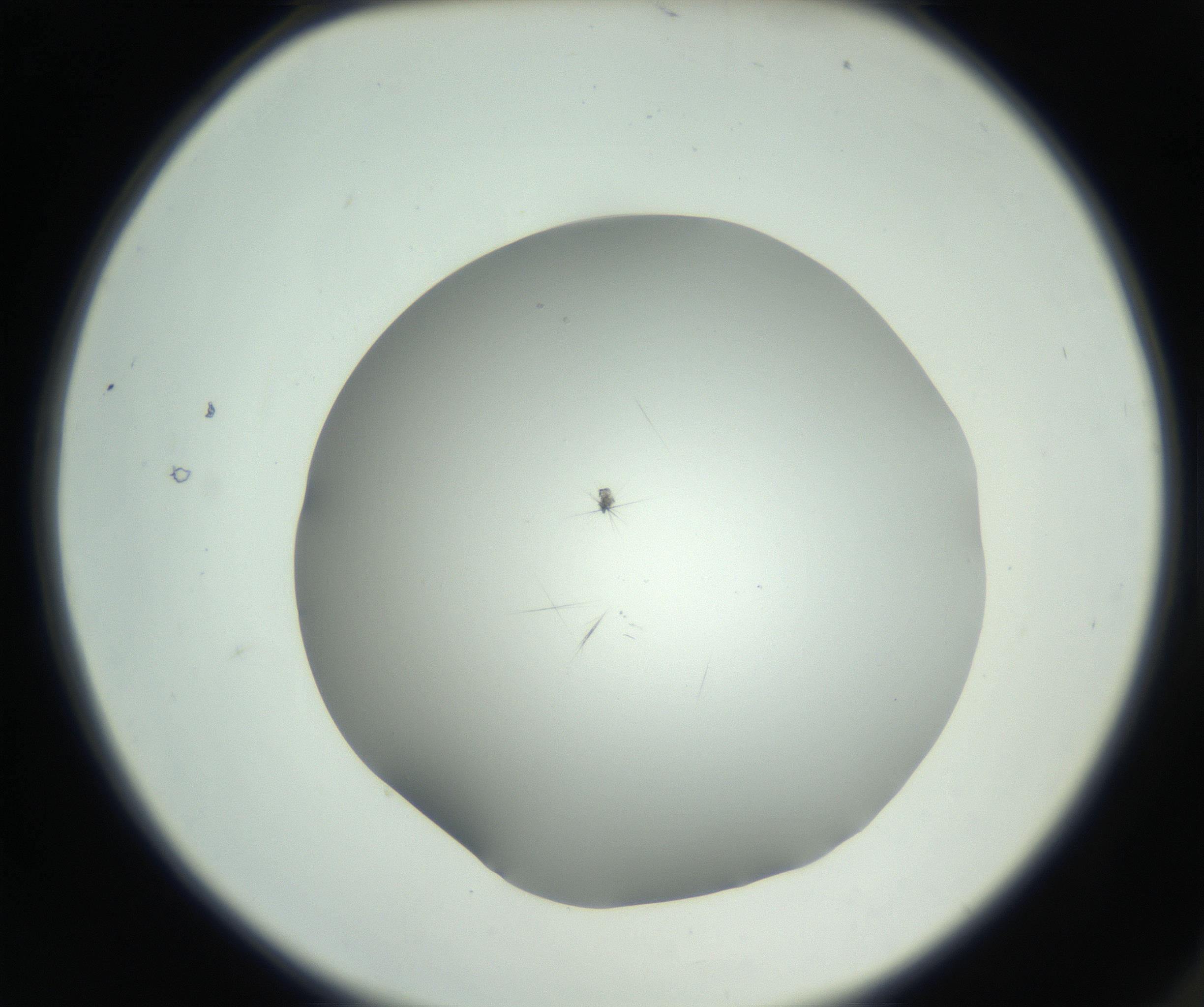 RI01_03_000_0212_Proj1_Clon1_MC_0000MC102650_010_160922_02_01_02_00_99_002_001_RAI.jpg