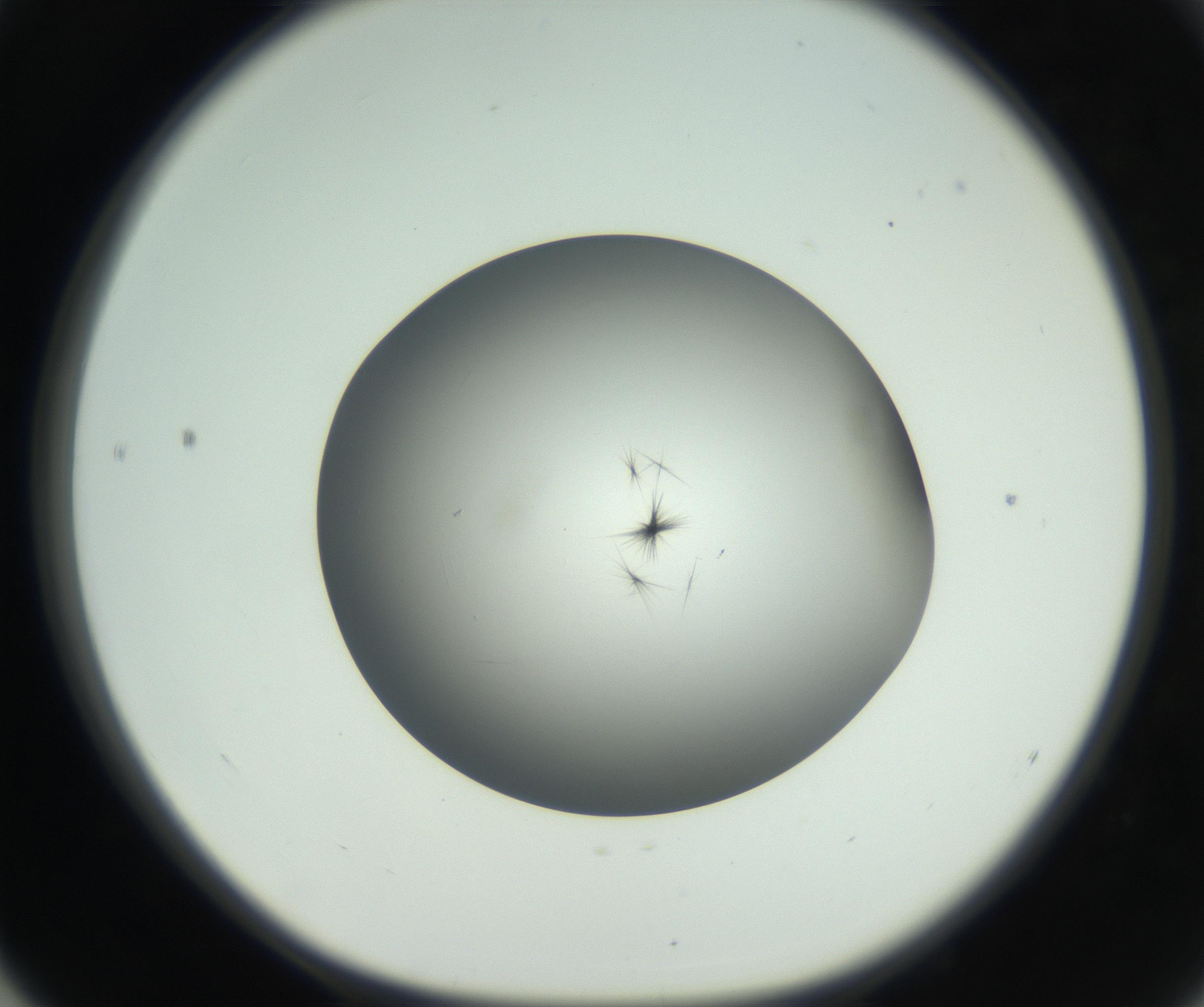RI01_03_000_0212_Proj1_Clon1_MC_0000MC102650_010_160922_04_05_01_00_99_002_001_RAI.jpg