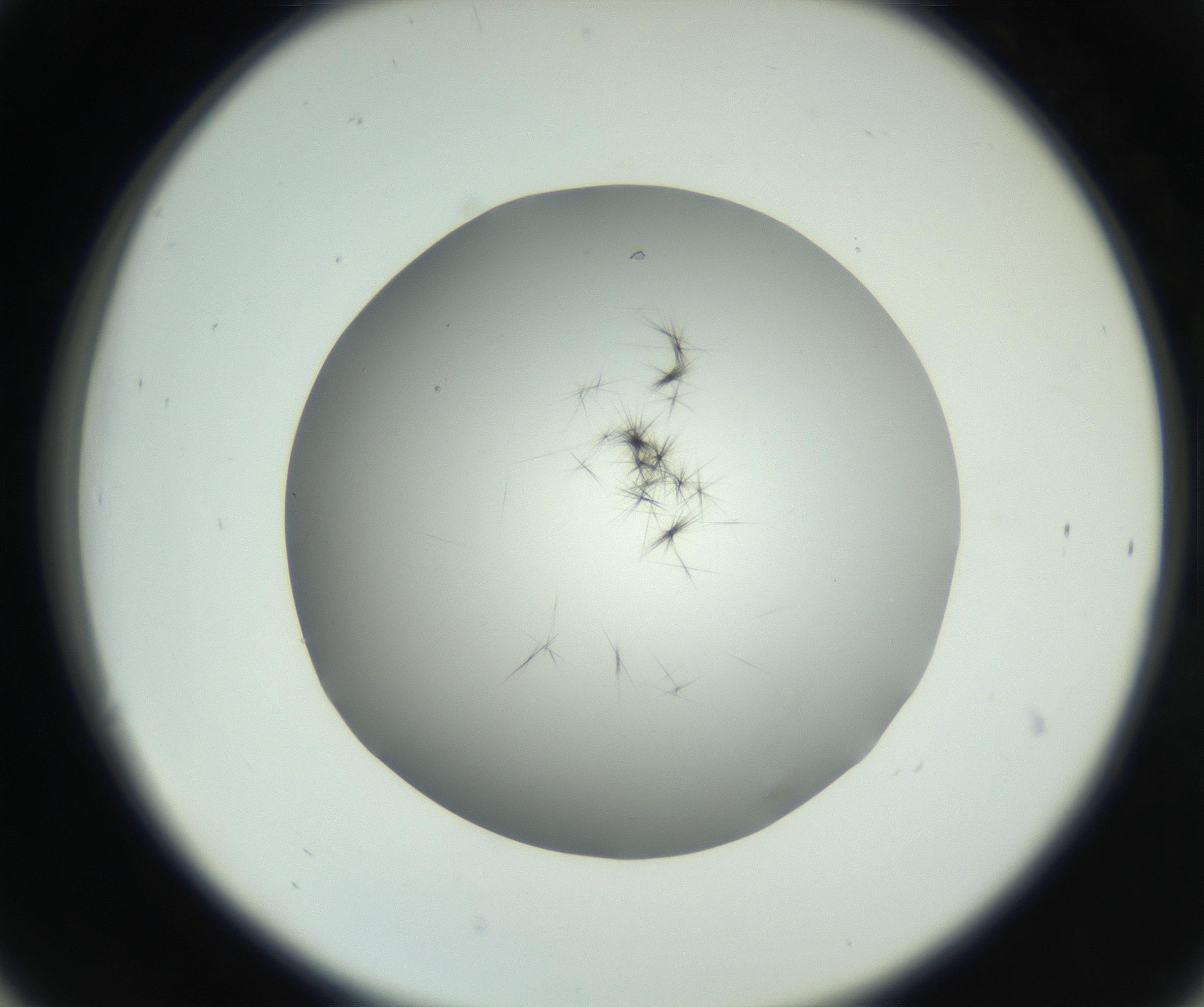 RI01_03_000_0212_Proj1_Clon1_MC_0000MC102650_010_160922_06_03_02_00_99_002_001_RAI.jpg