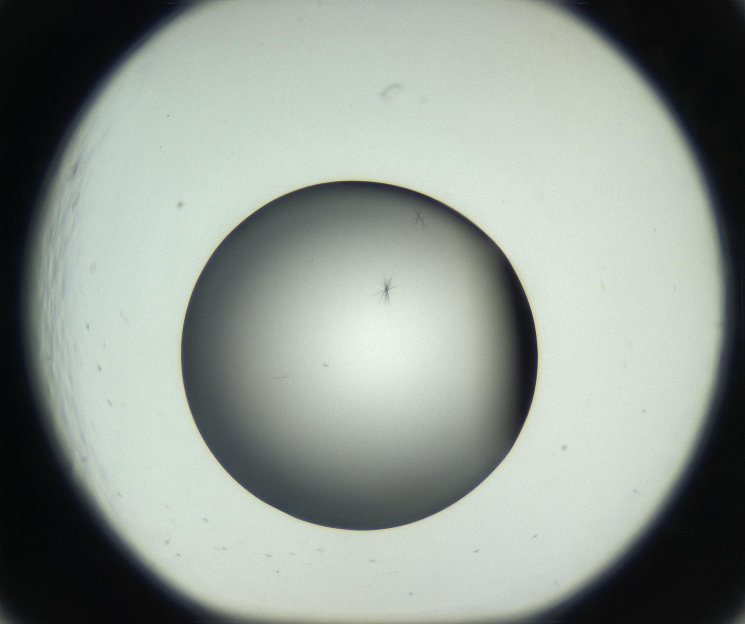 RI01_03_000_0212_Proj1_Clon1_MC_0000MC102650_010_160922_07_02_01_00_99_002_001_RAI.jpg