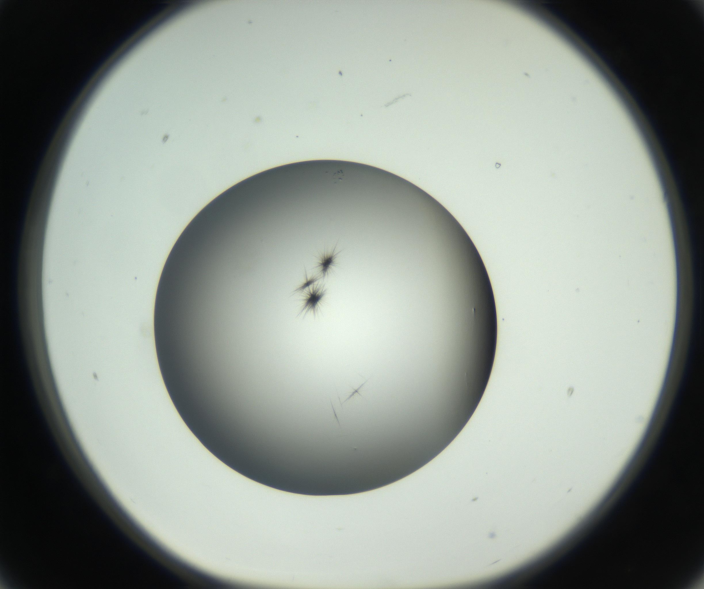 RI01_03_000_0212_Proj1_Clon1_MC_0000MC102650_010_160922_09_02_01_00_99_002_001_RAI.jpg